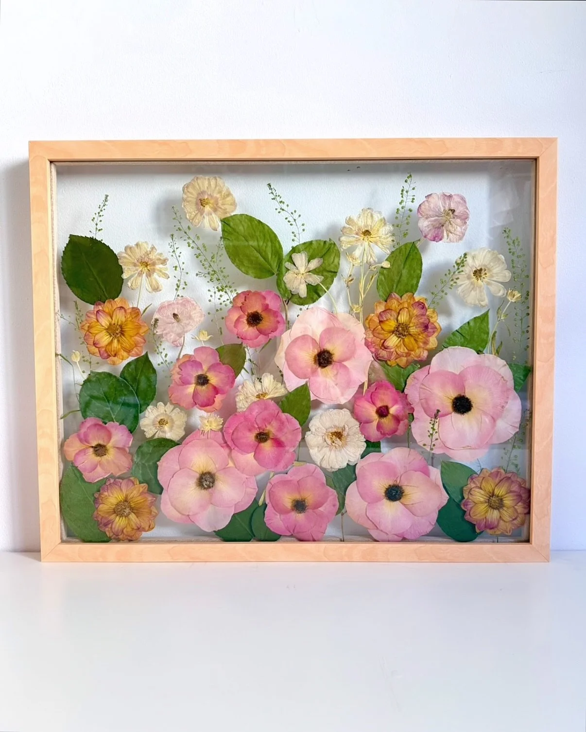 a rose garden in a frame💗🌸

16x20&rdquo; floating glass frame in light wood

#flowerpreservation #bouquetpreservation #pressedflowerart #2026wedding #weddingkeepsake