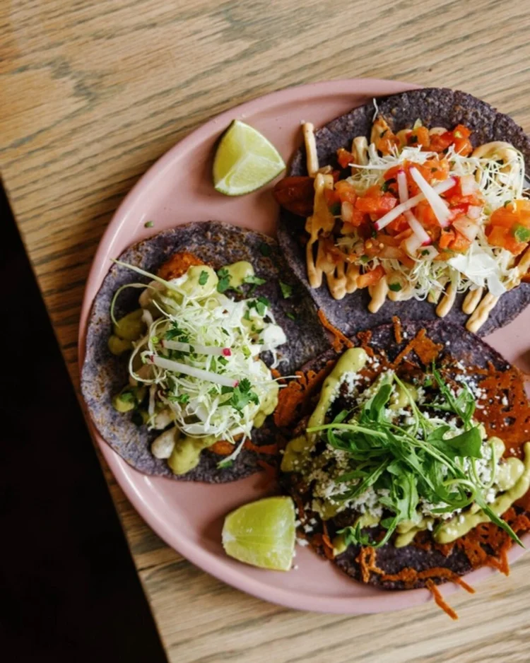 Blue corn tostadas at Amasa Mexican Kitchen