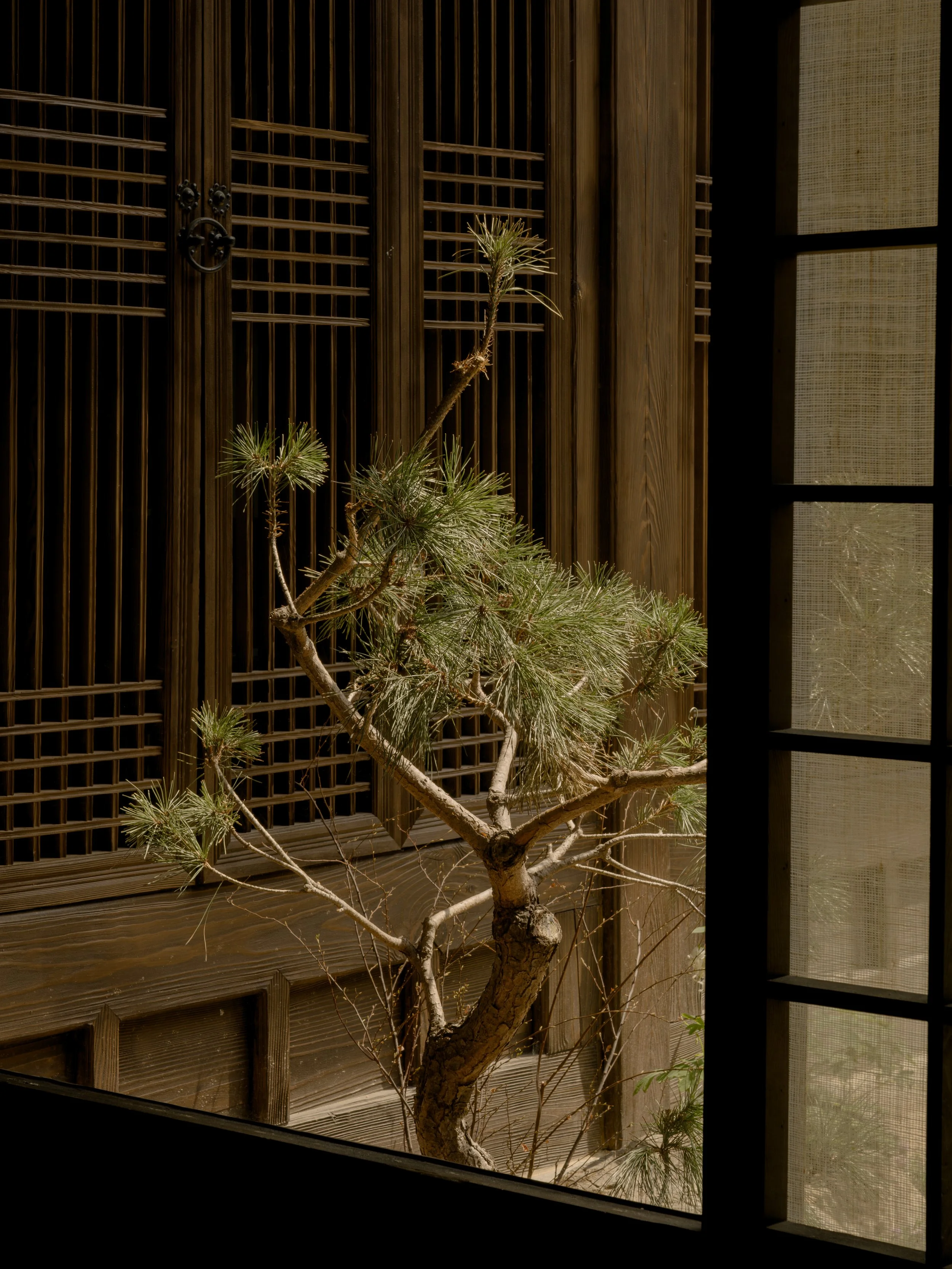 DSCF3235.jpg