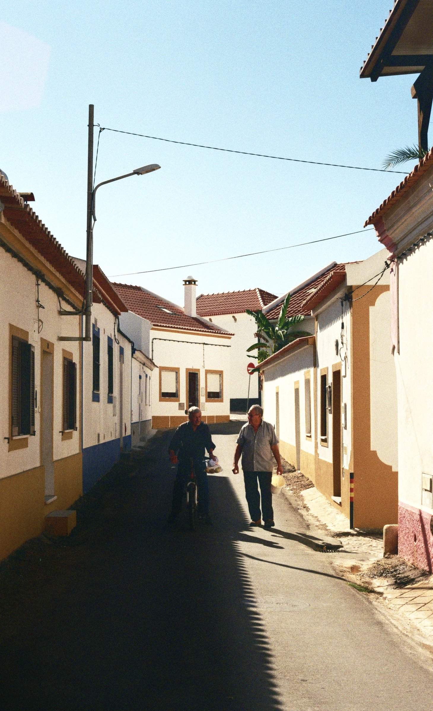 IMG_7187.jpg