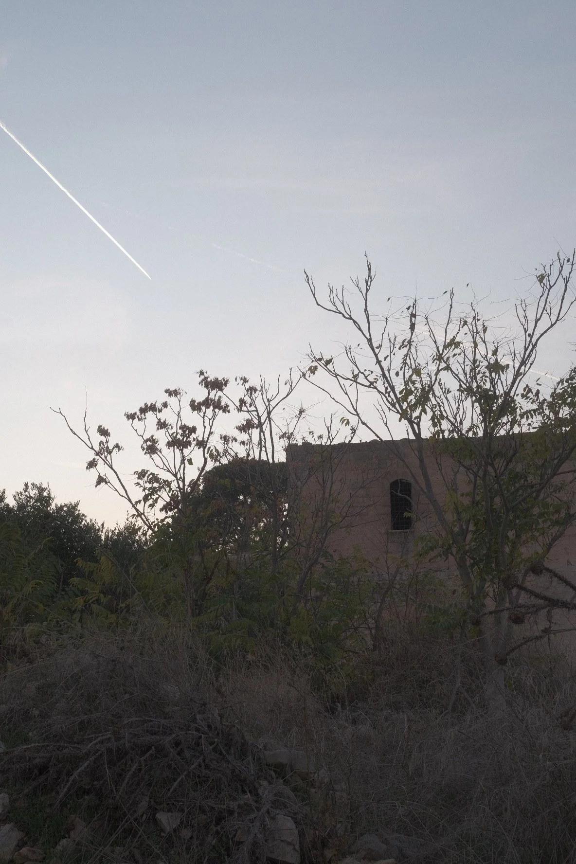 DSCF6977.JPG