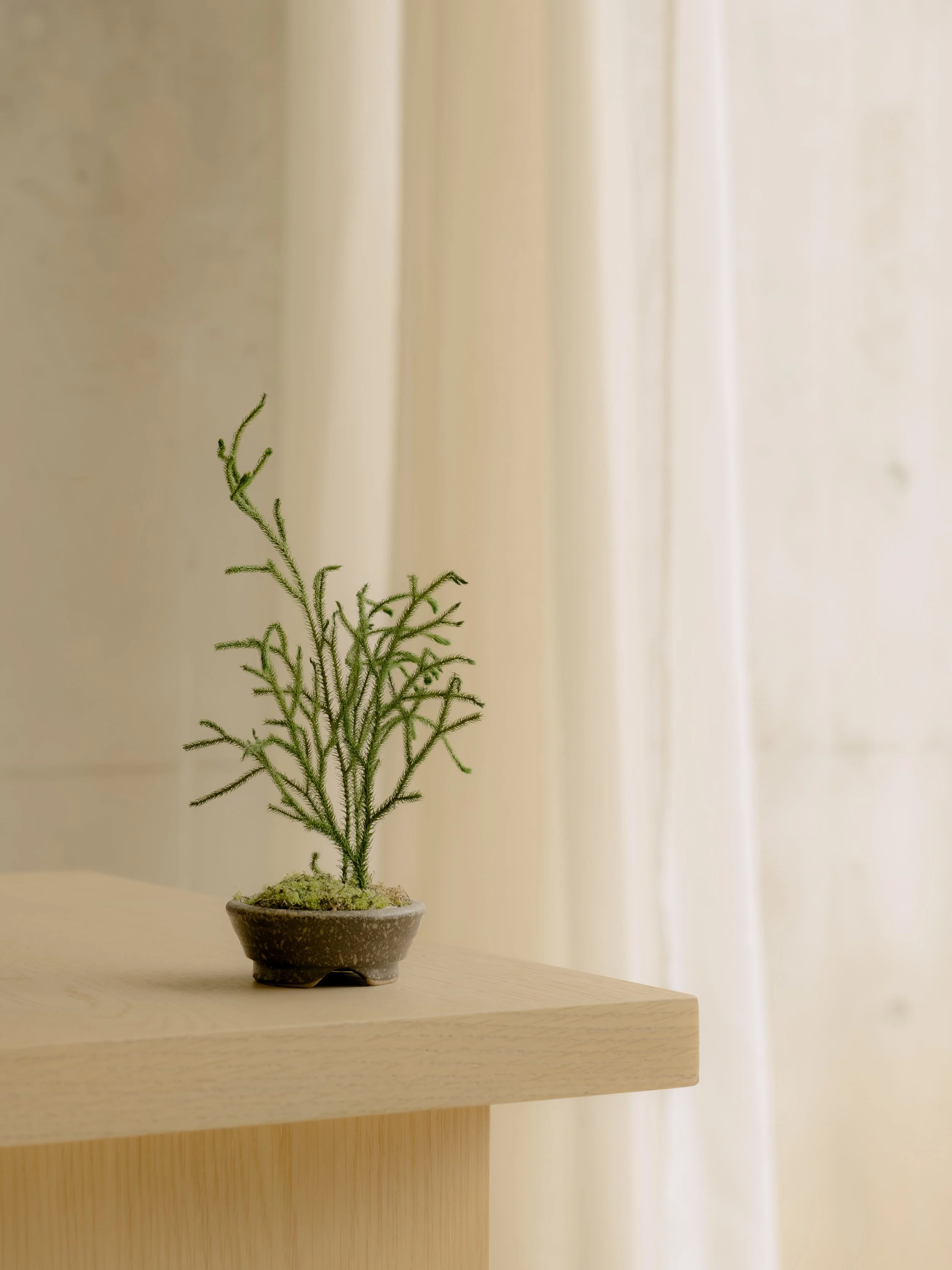 DSCF4905.jpg