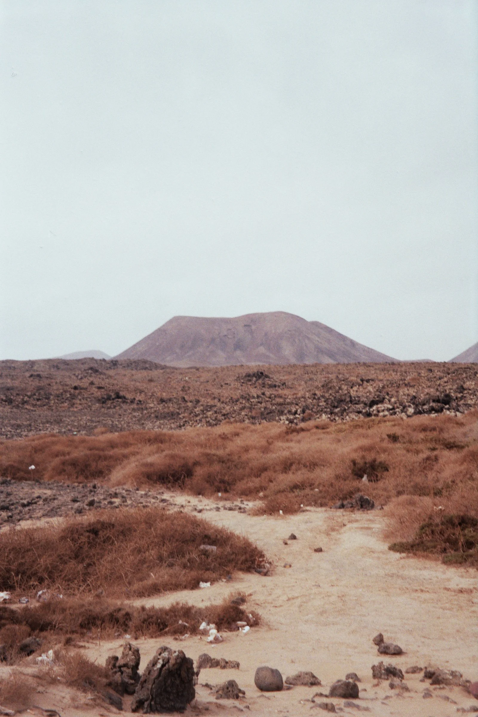 _4A_01227.jpg