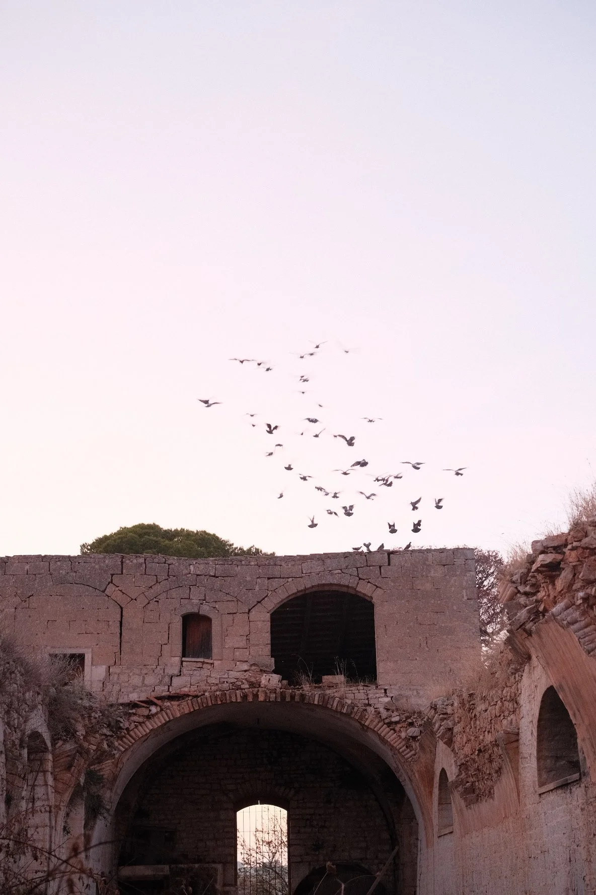 DSCF6993.JPG