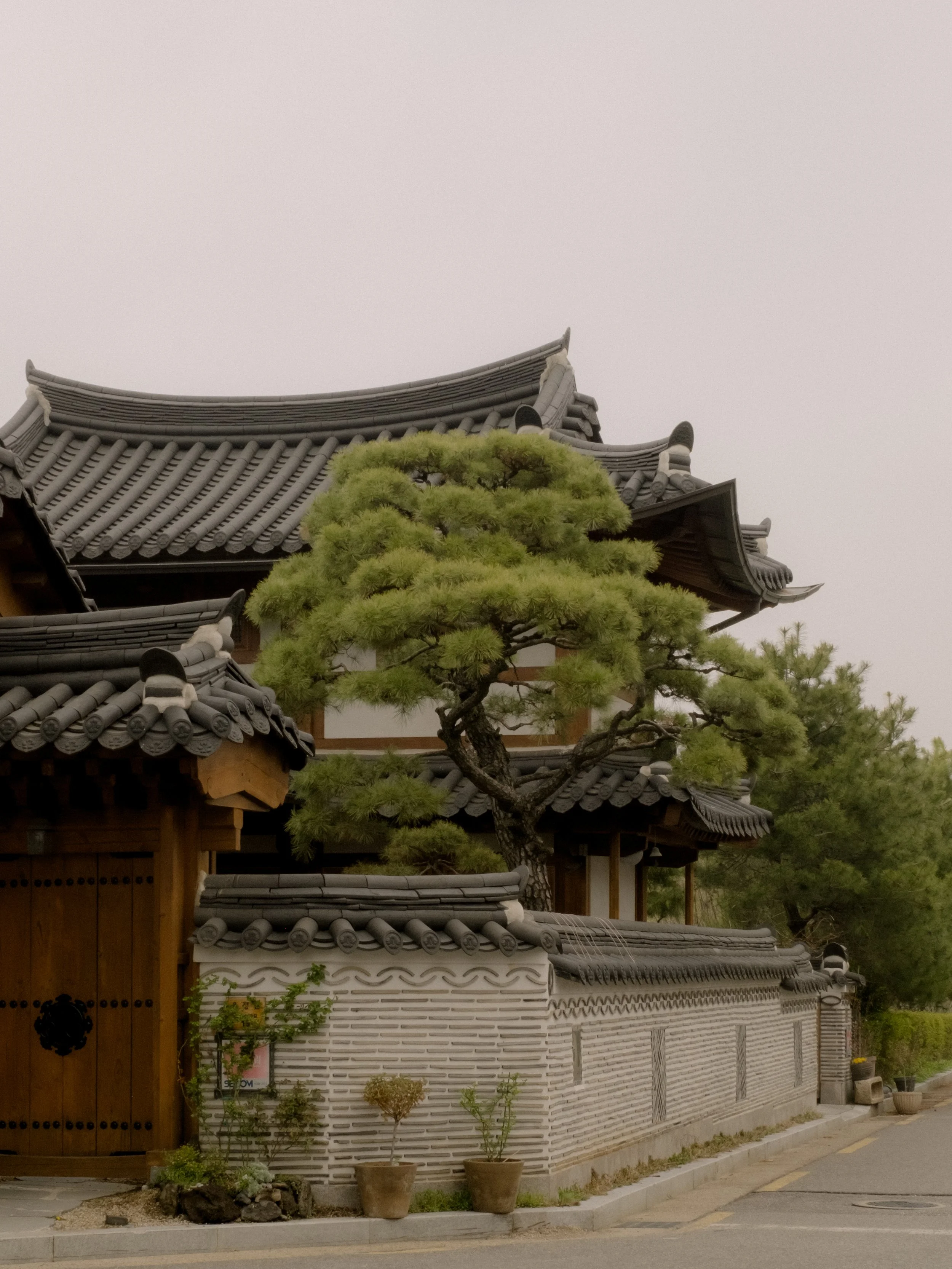 DSCF5272.jpg
