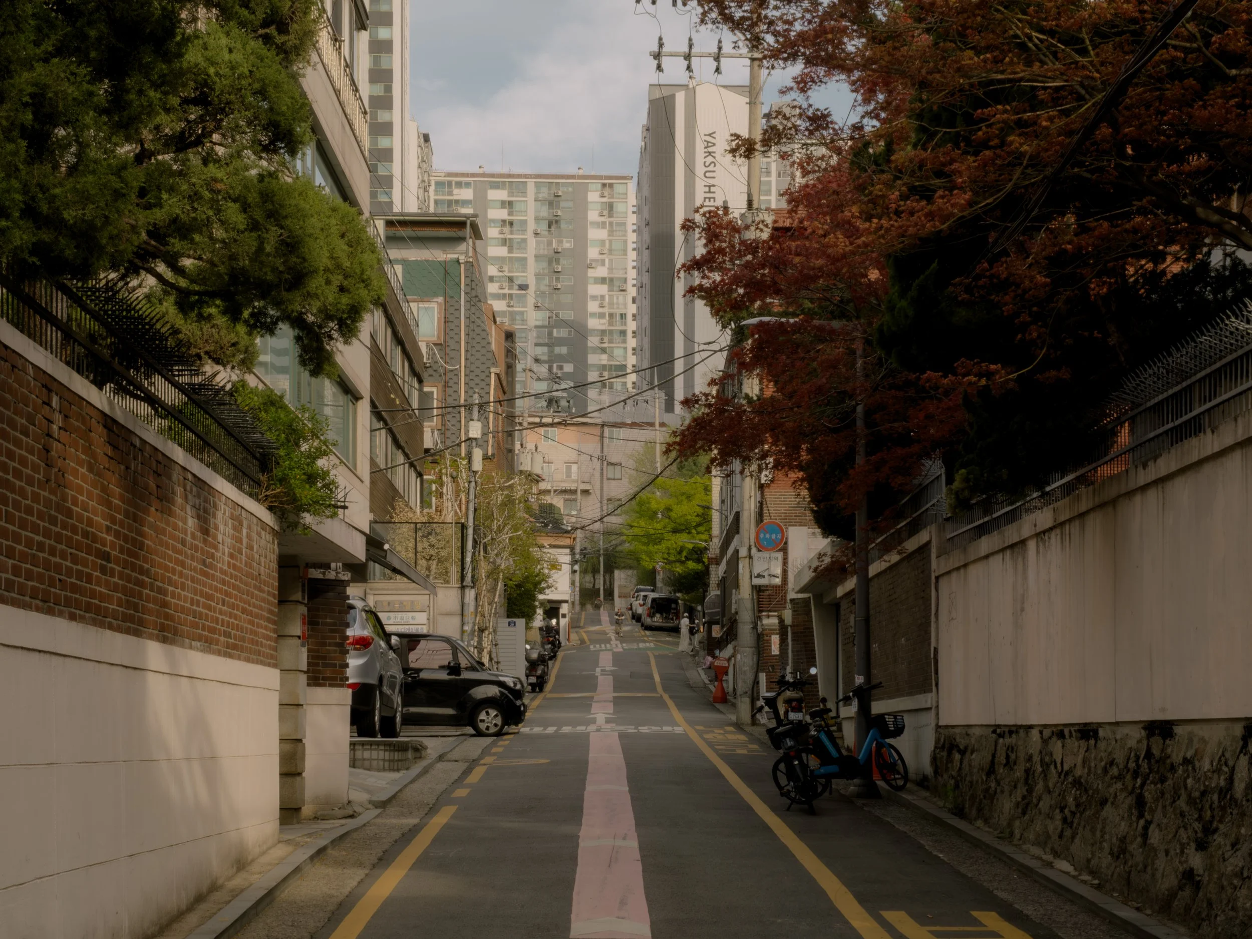 DSCF5486.jpg
