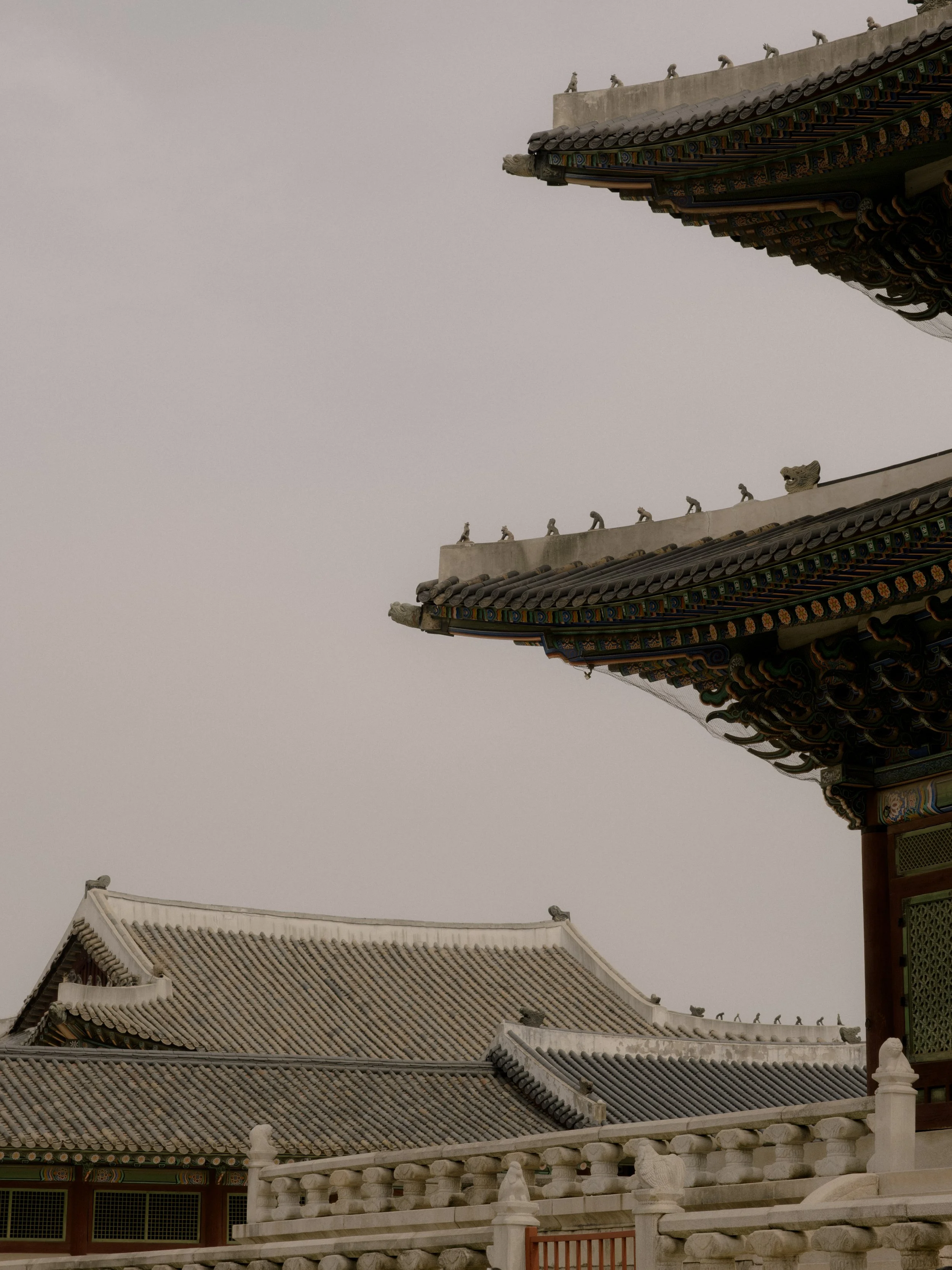 DSCF3077.jpg