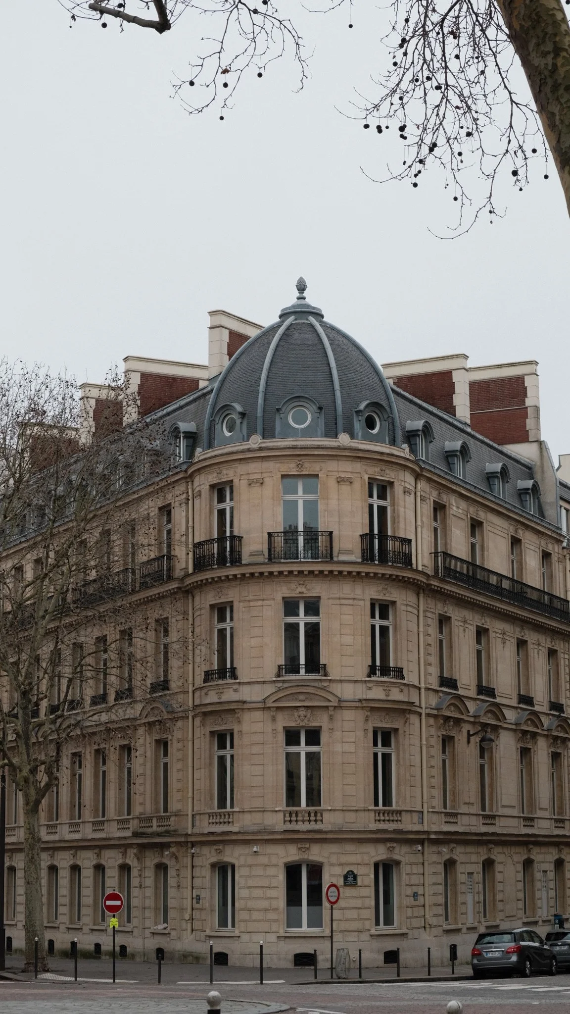DSCF1784.JPG