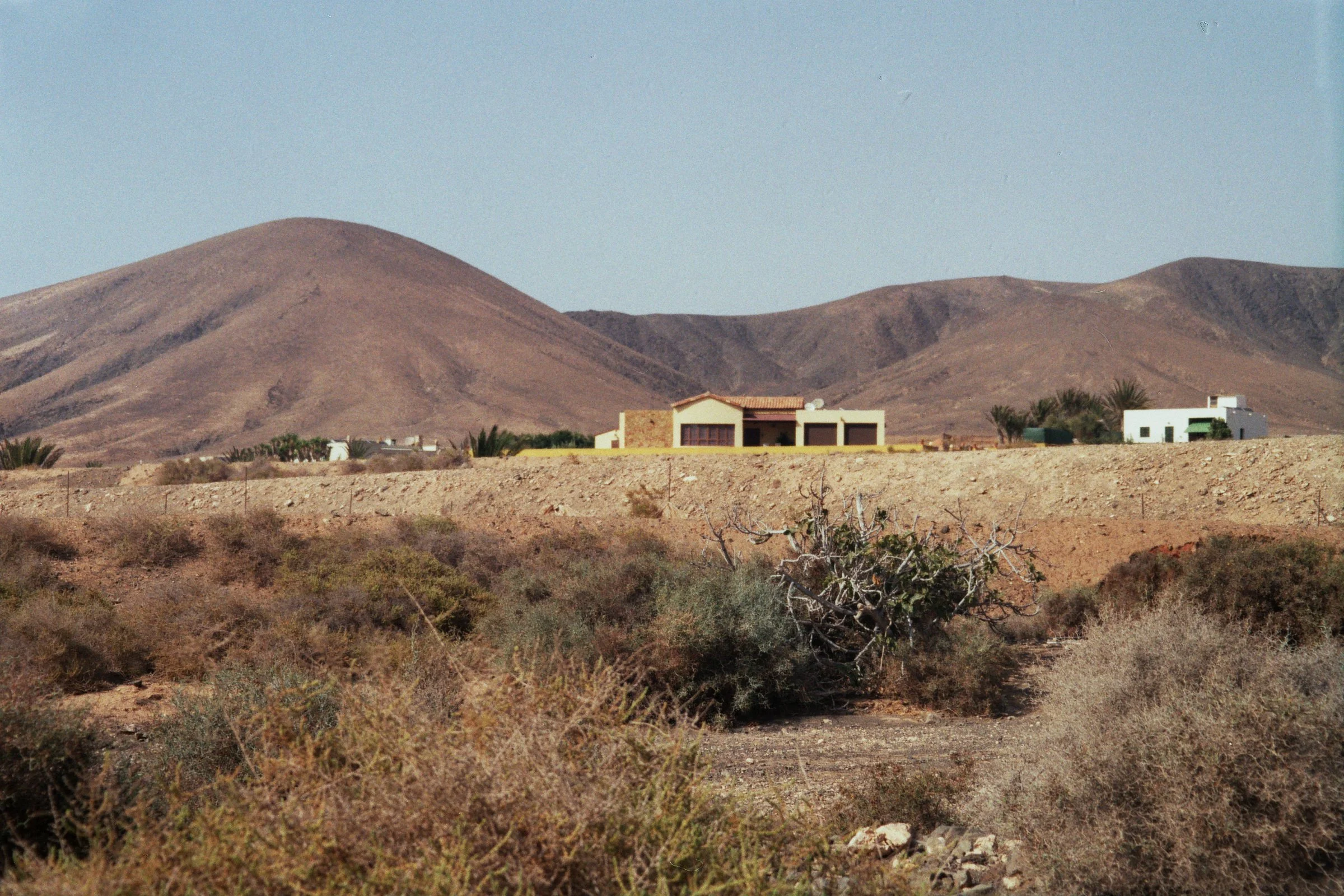 _25_01286.jpg