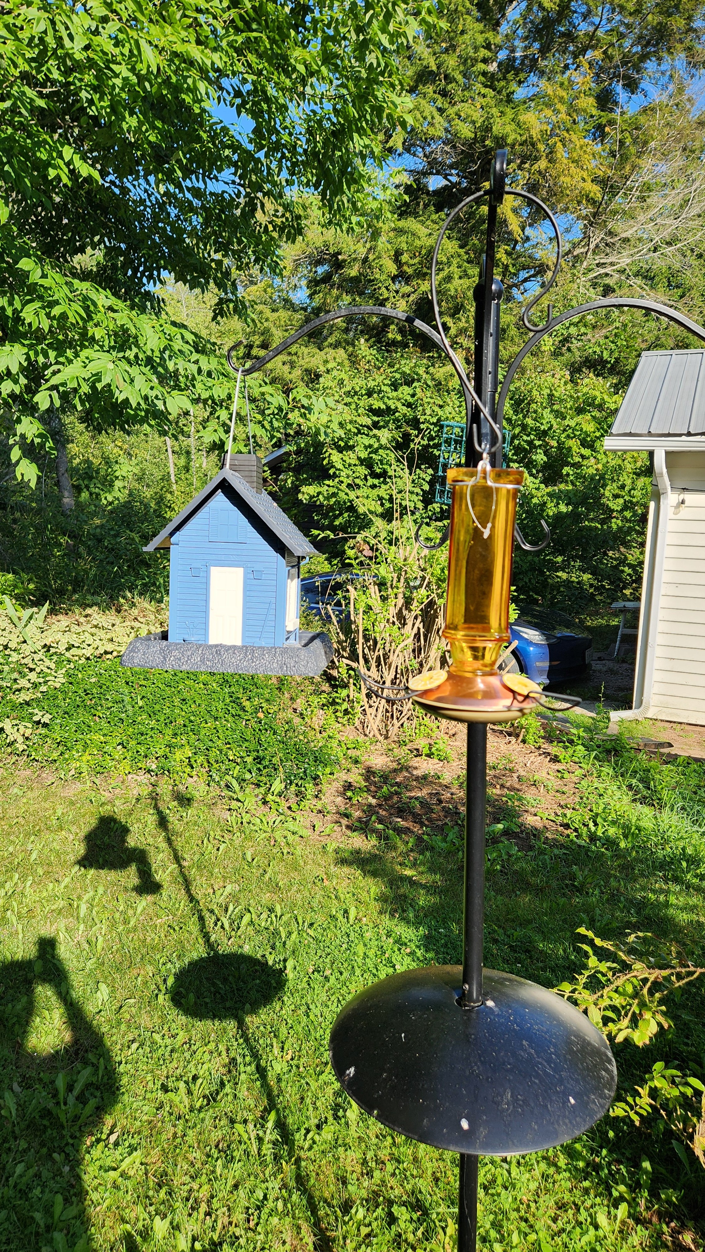 A hummingbird feeder with a yellow and brown glass reservoir hanging from a black metal pole, with a small blue birdhouse on a platform in the background, surrounded by green trees and grass.