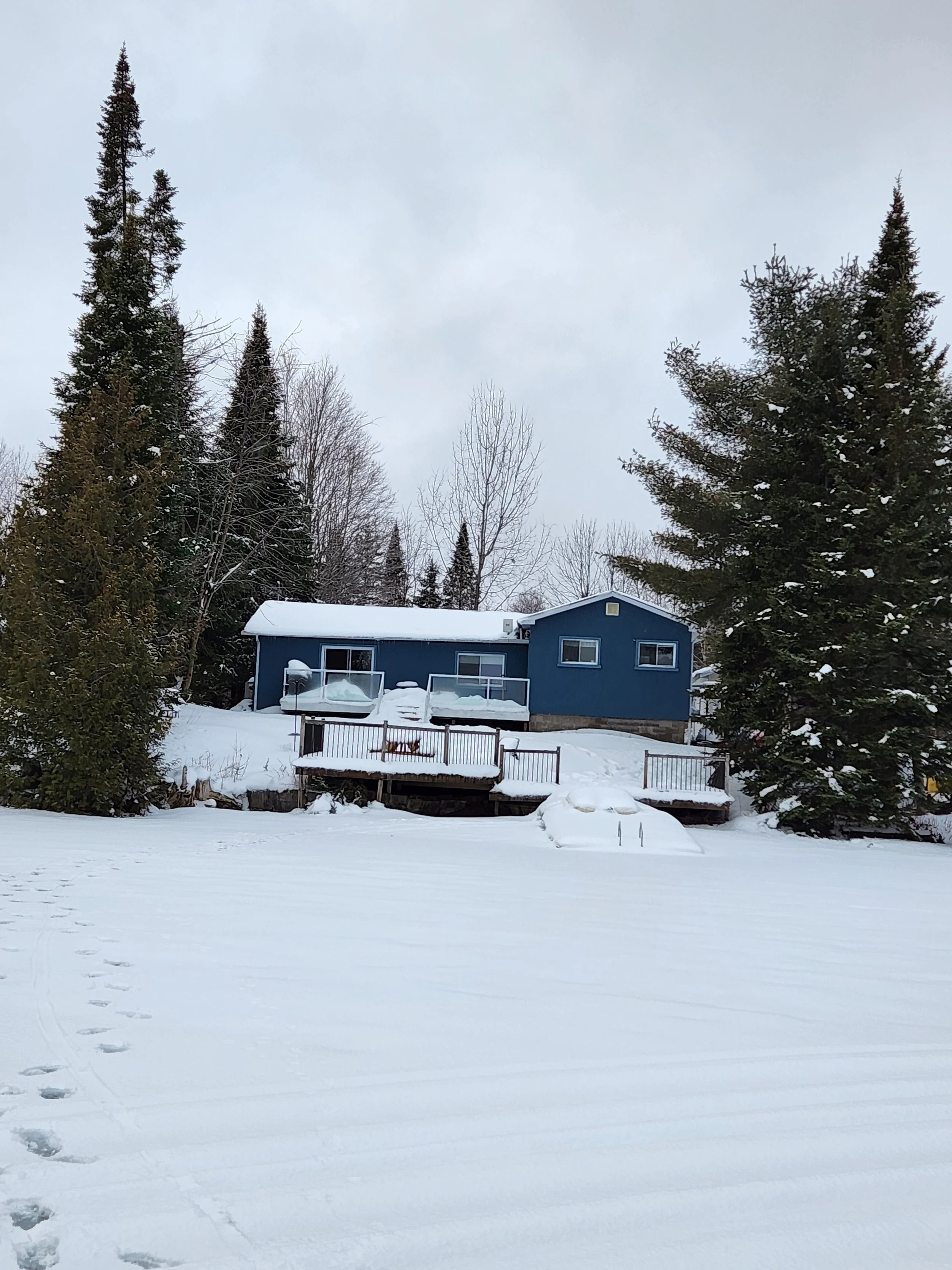 A blue house on a snow-covered hillside surrounded by pine trees during winter.
