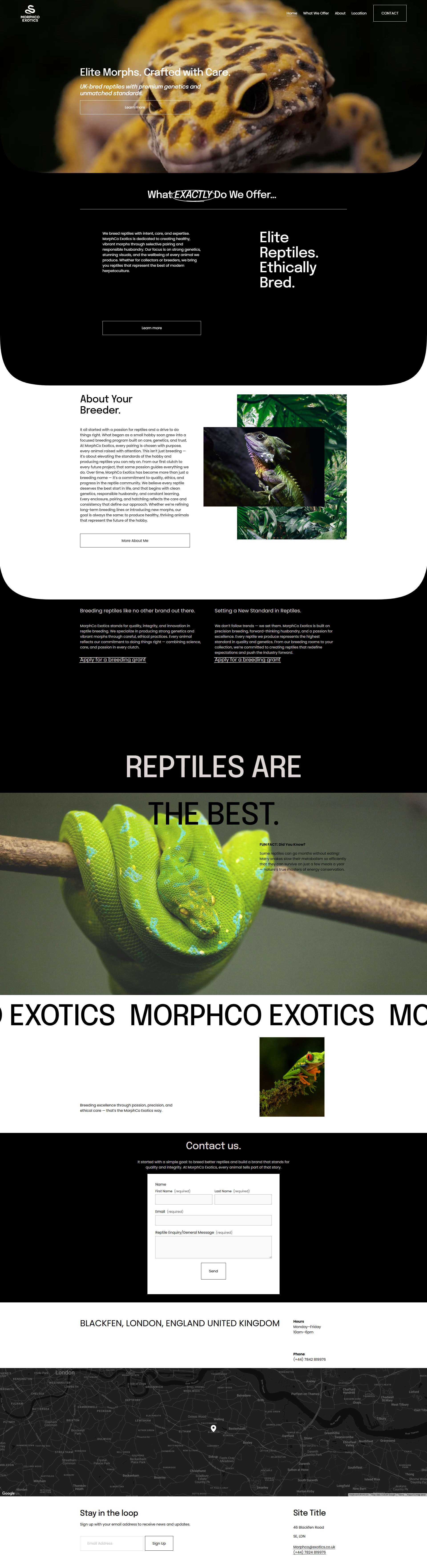 Close-up of a yellow and black leopard gecko's face, focusing on its eye and textured skin.