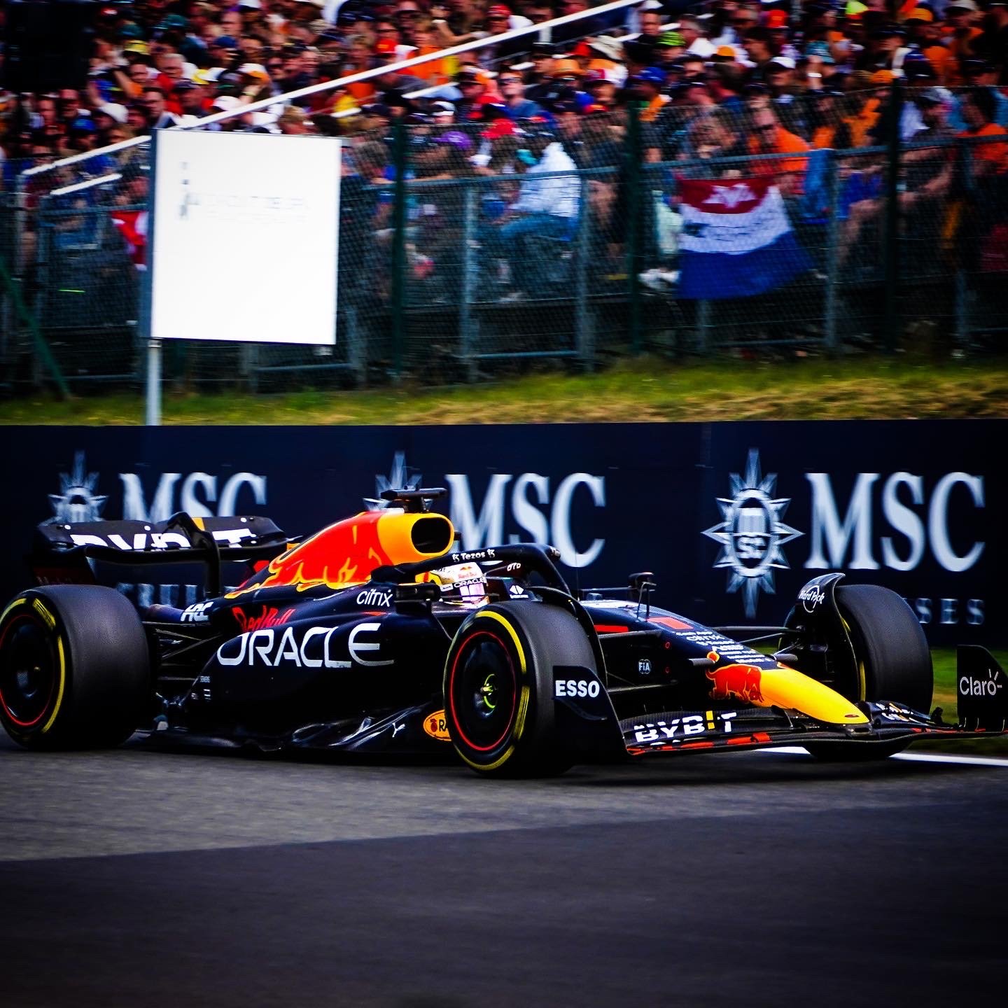 A Formula 1 race car sponsored by Red Bull Racing, driving on a racetrack with a crowd of spectators behind the fence, and banners displaying the MSC logo.