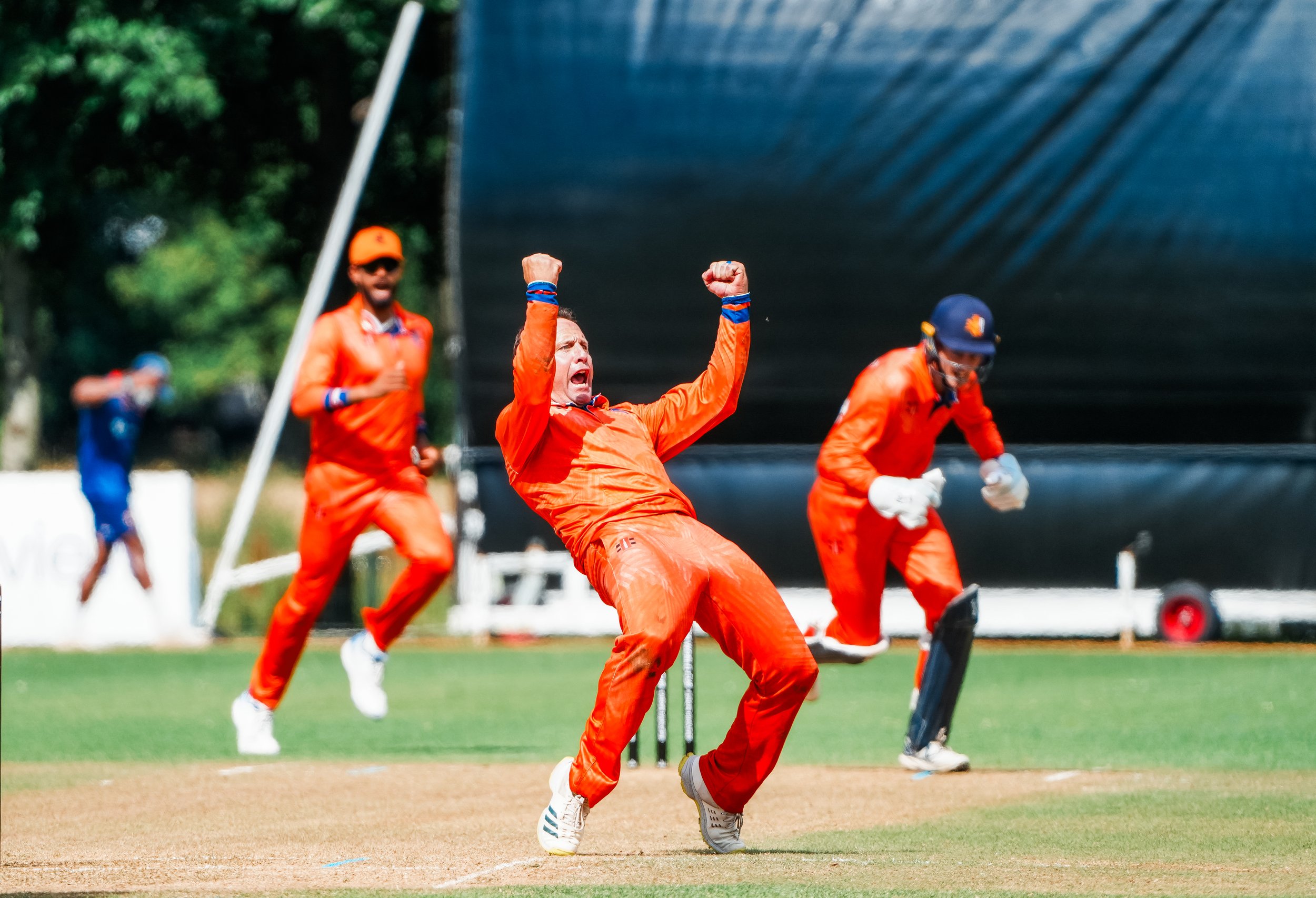 Cricket players celebrating on the field, with one player in orange jumping and another in orange with white gloves falling, during a match in bright daylight.