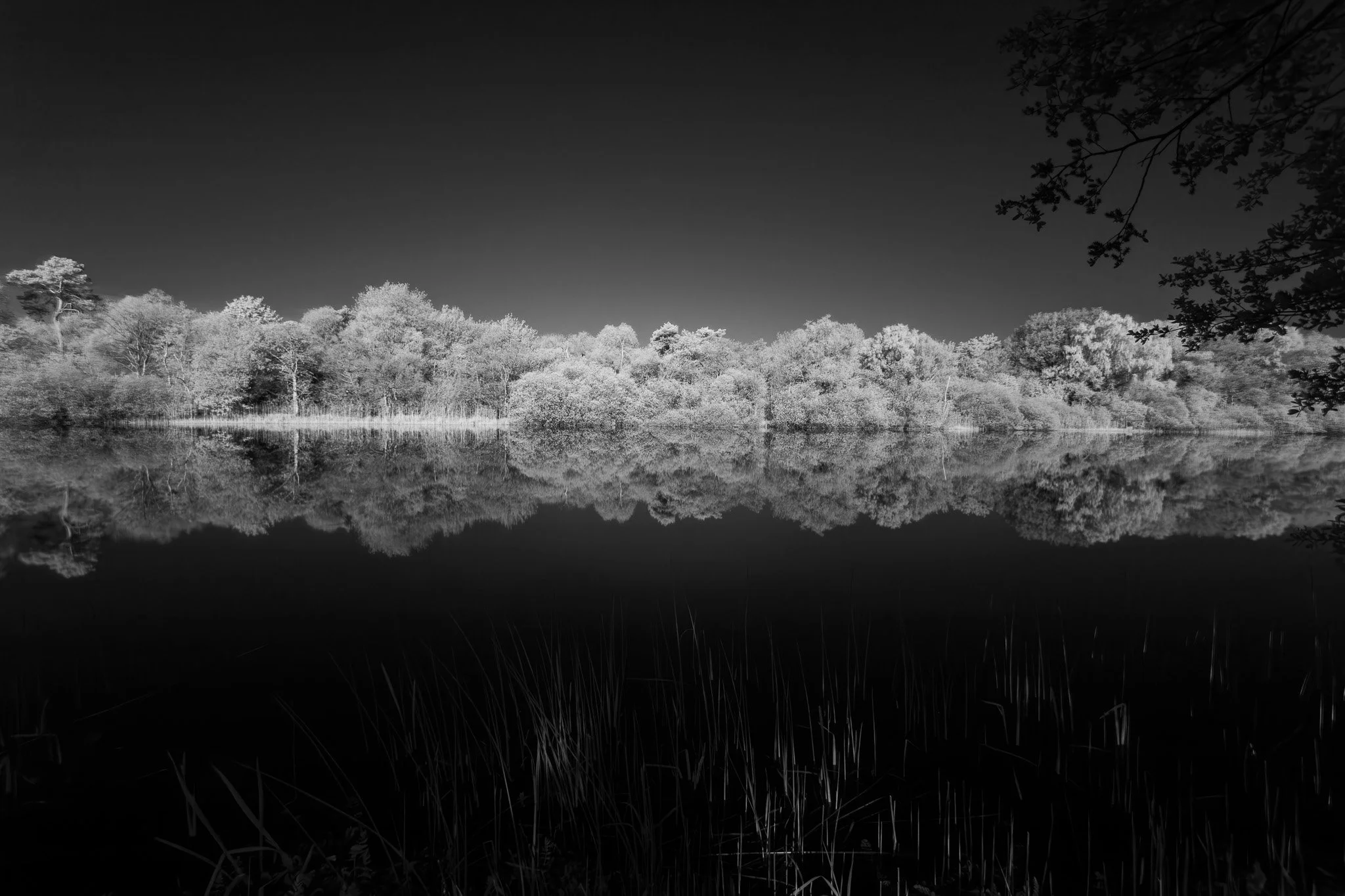 IMG_9096-Enhanced-NR - Copy.jpg