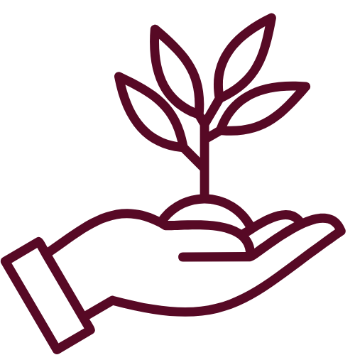 Outline illustration of a hand holding a small plant with three leaves.