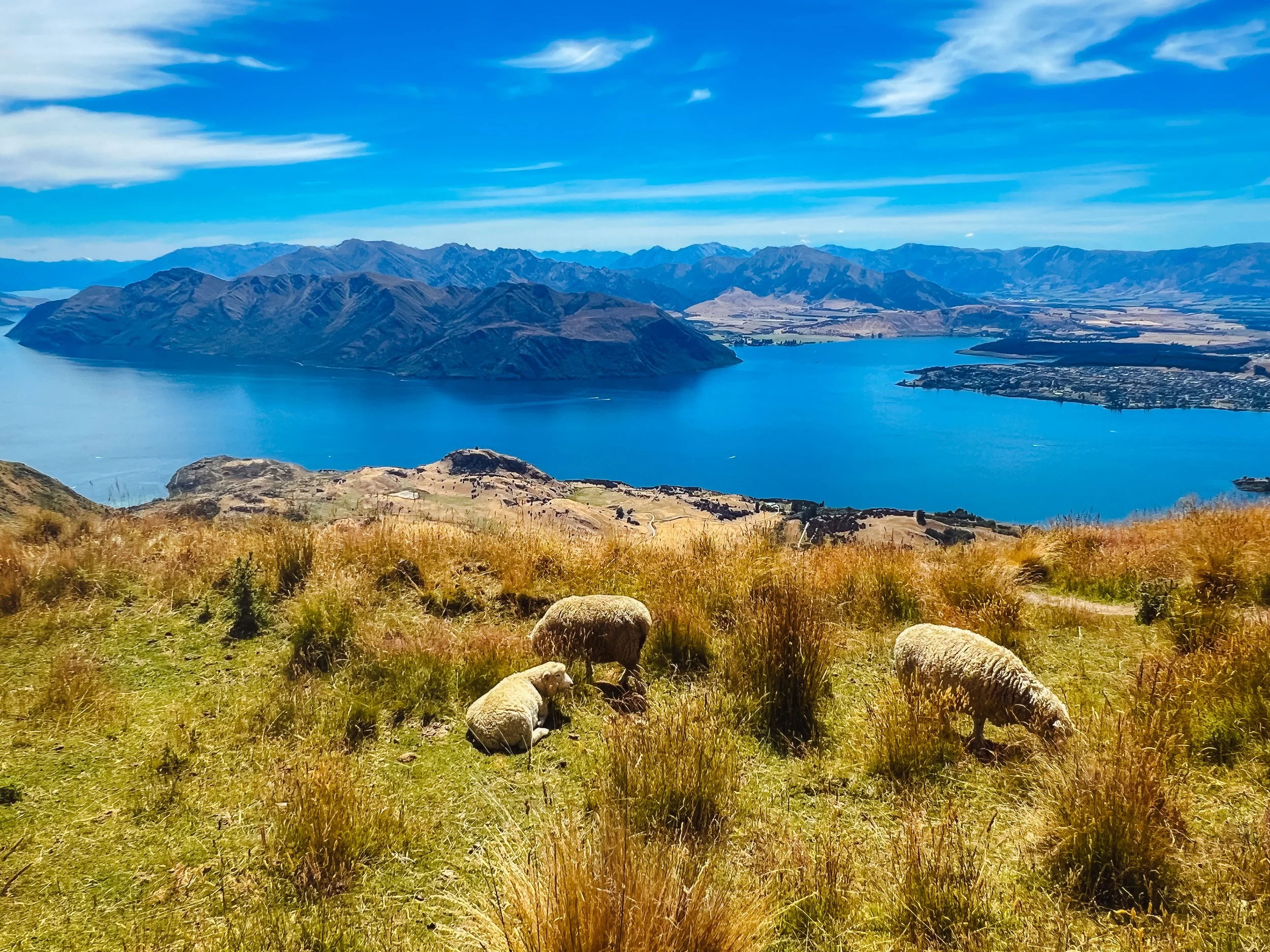 Country Guide: New Zealand