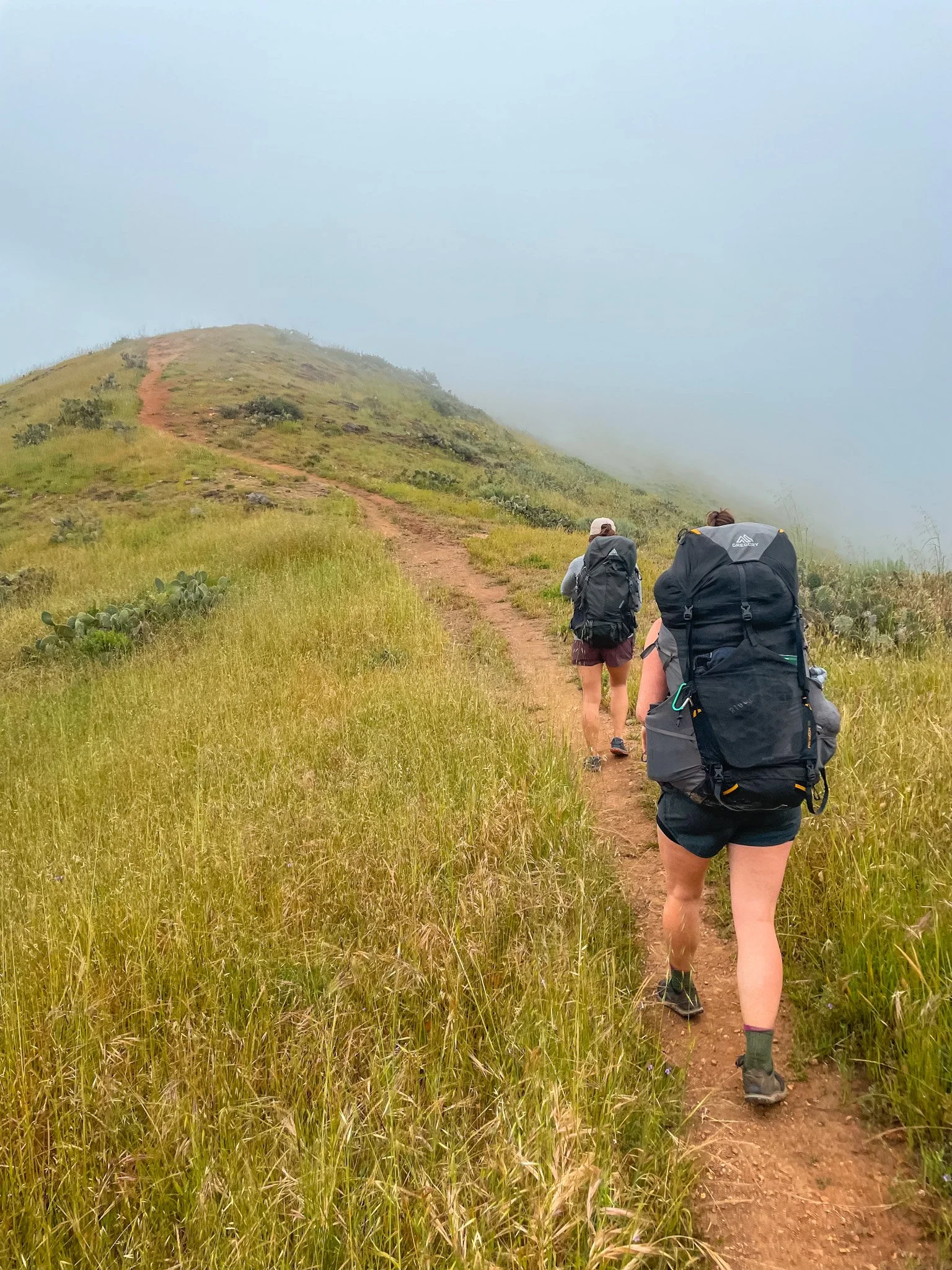 Tips For Staying Healthy &amp; Active While You Travel