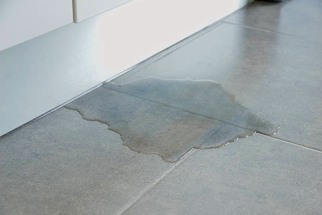 Wet patch of water on tiled floor near door.