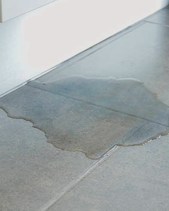 Water spilled on a tiled floor near a white wall.