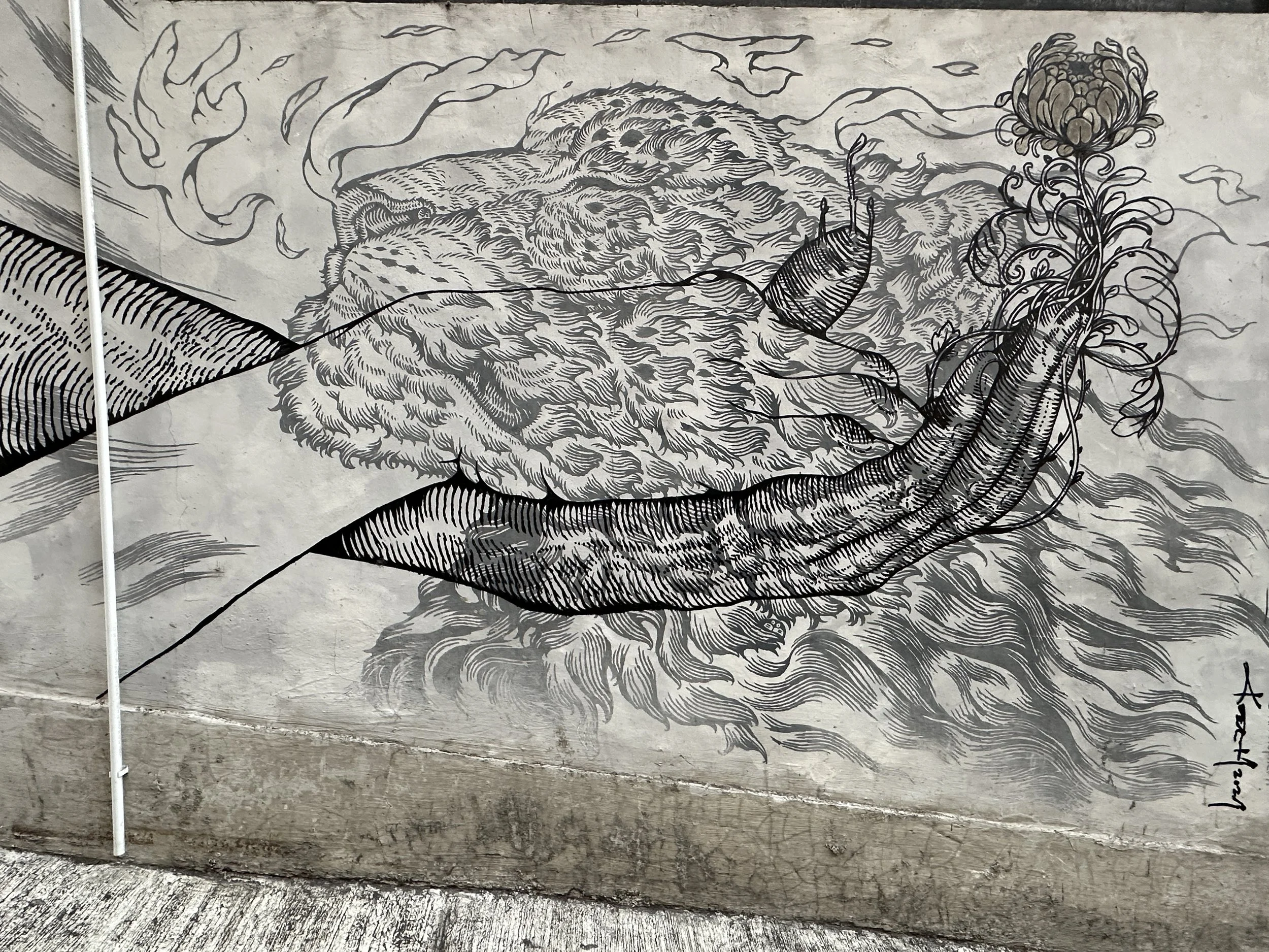 Urban Masterpieces: A 4-Hour Deep Dive from Sai Ying Pun to Central