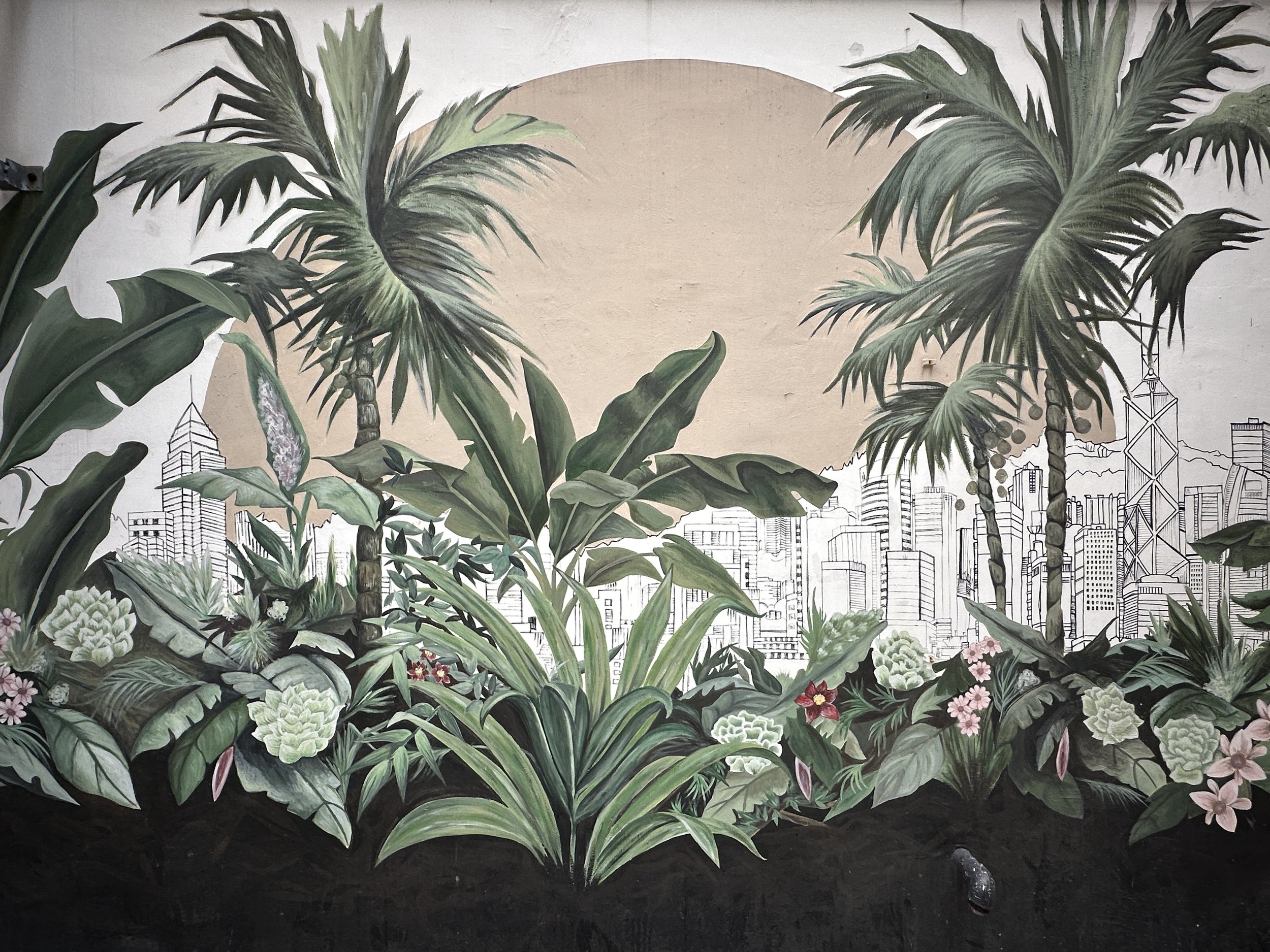 Hong Kong jungle by Rebecca T. Lin and Carol Mui 