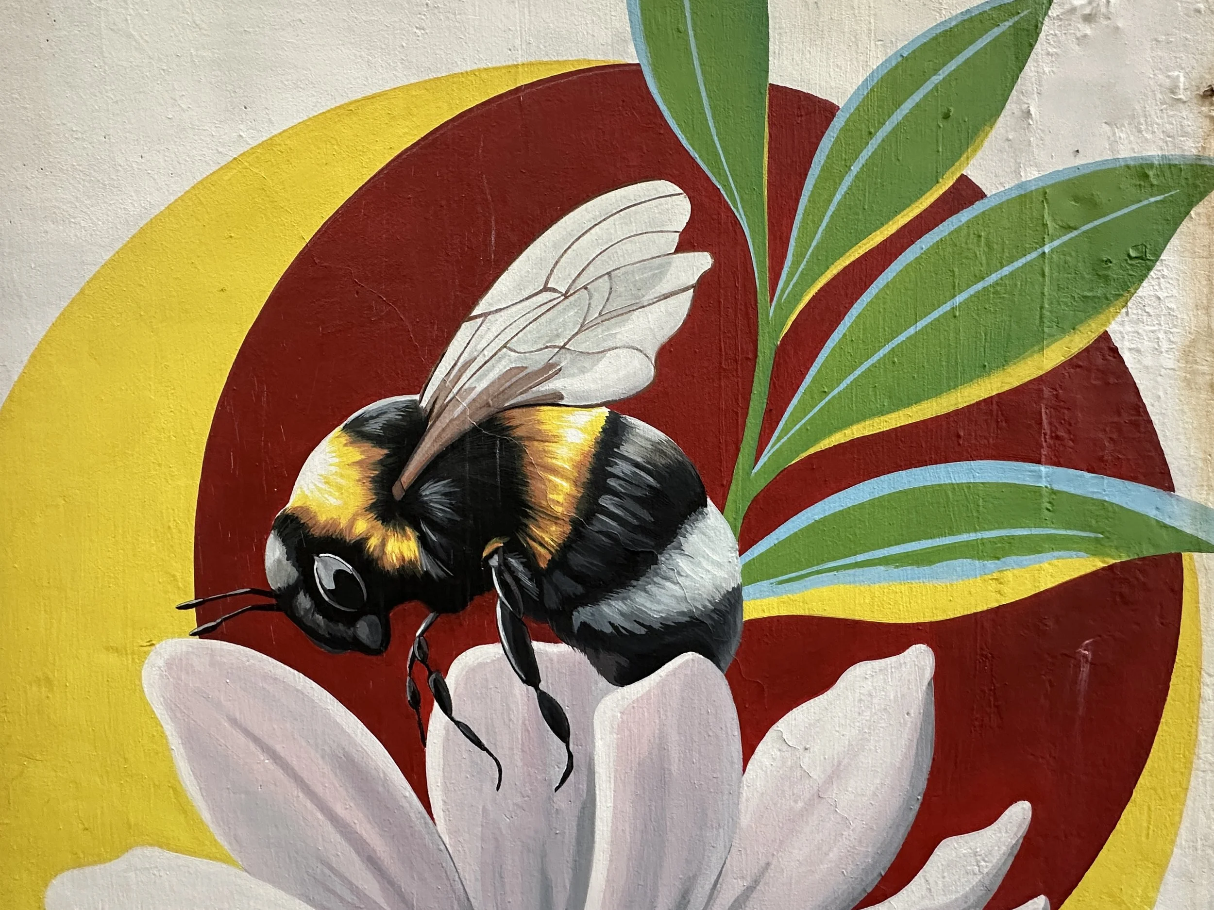 Riitta Kuisma_Bee.JPG