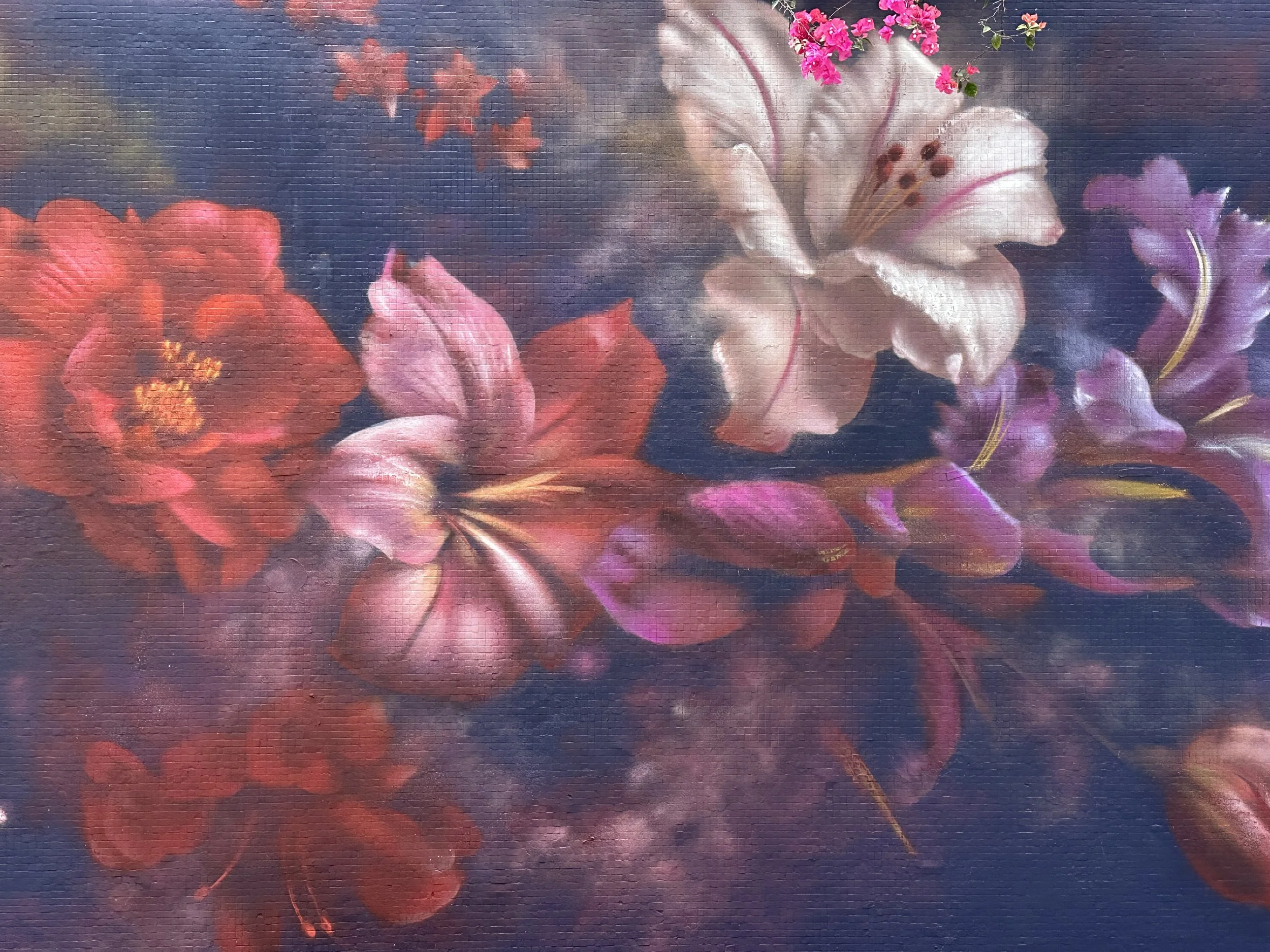 The Local Canvas: A Neighbourhood Stroll from Sai Ying Pun to Sheung Wan