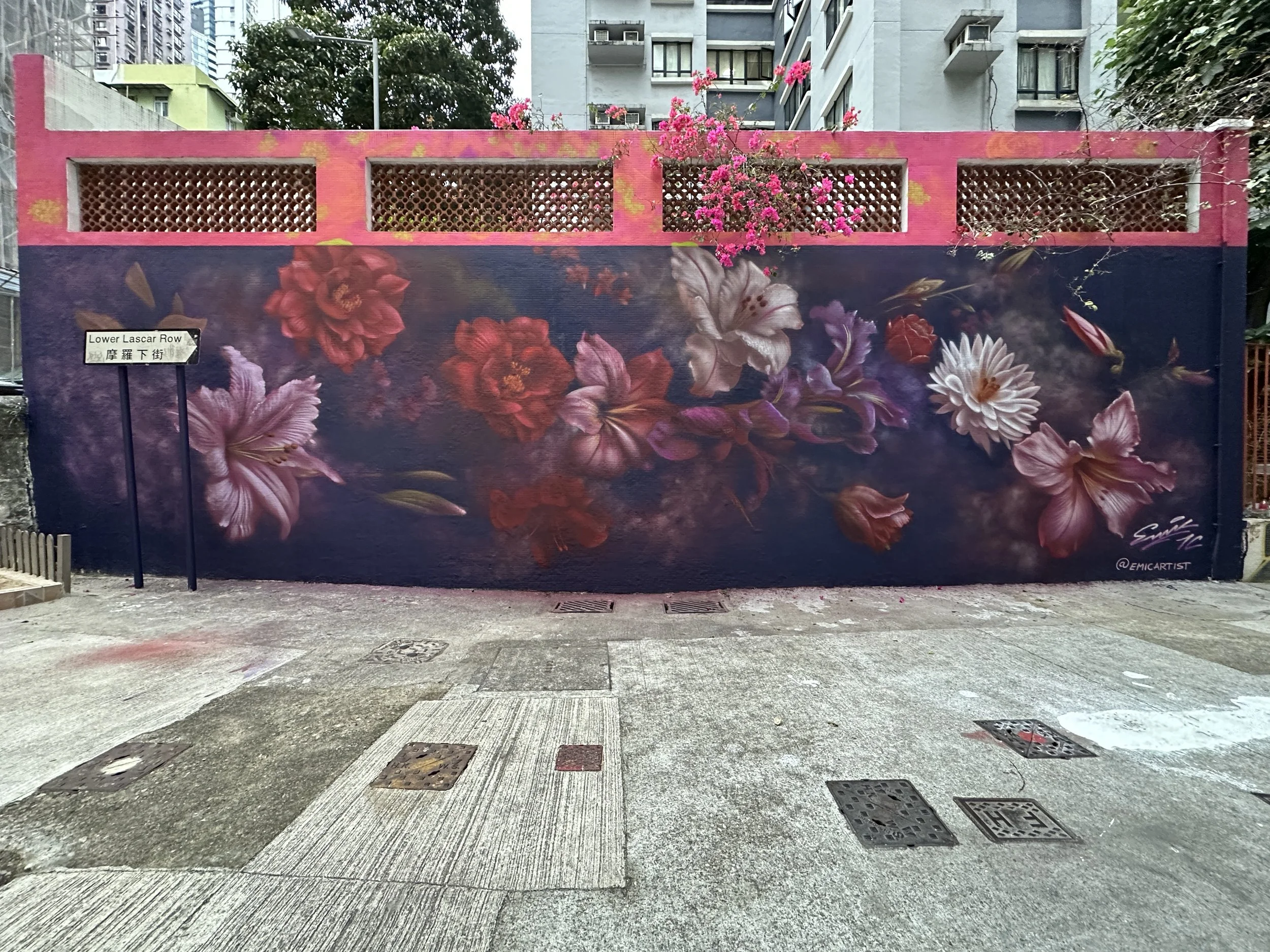 Irish artist's Emic beautiful flower mural created for HKwalls 2025