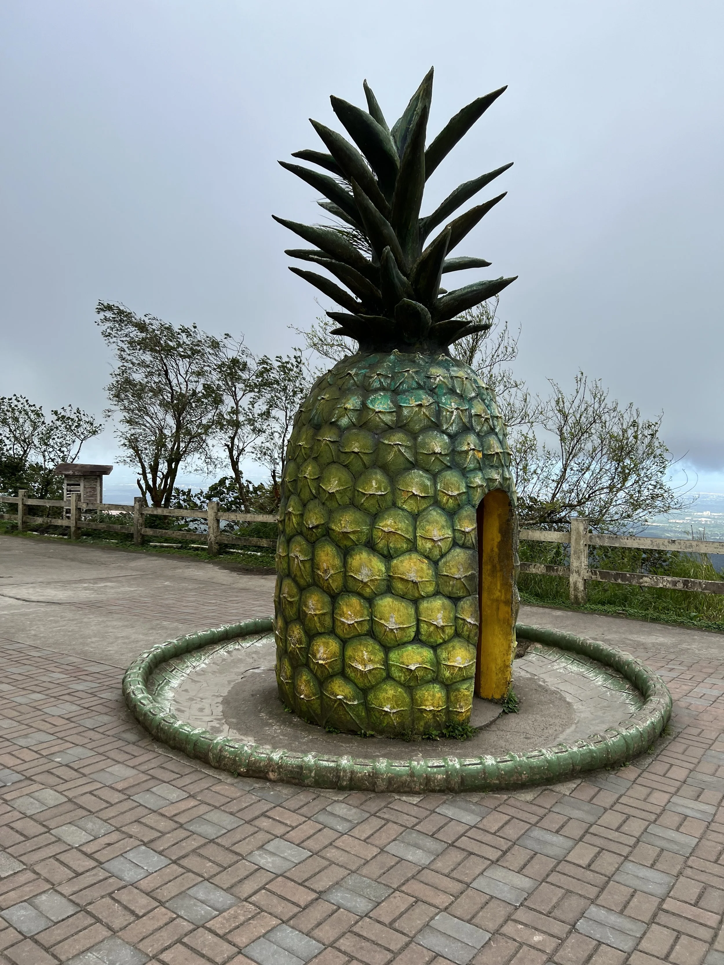 IMG_4280.jpeg
