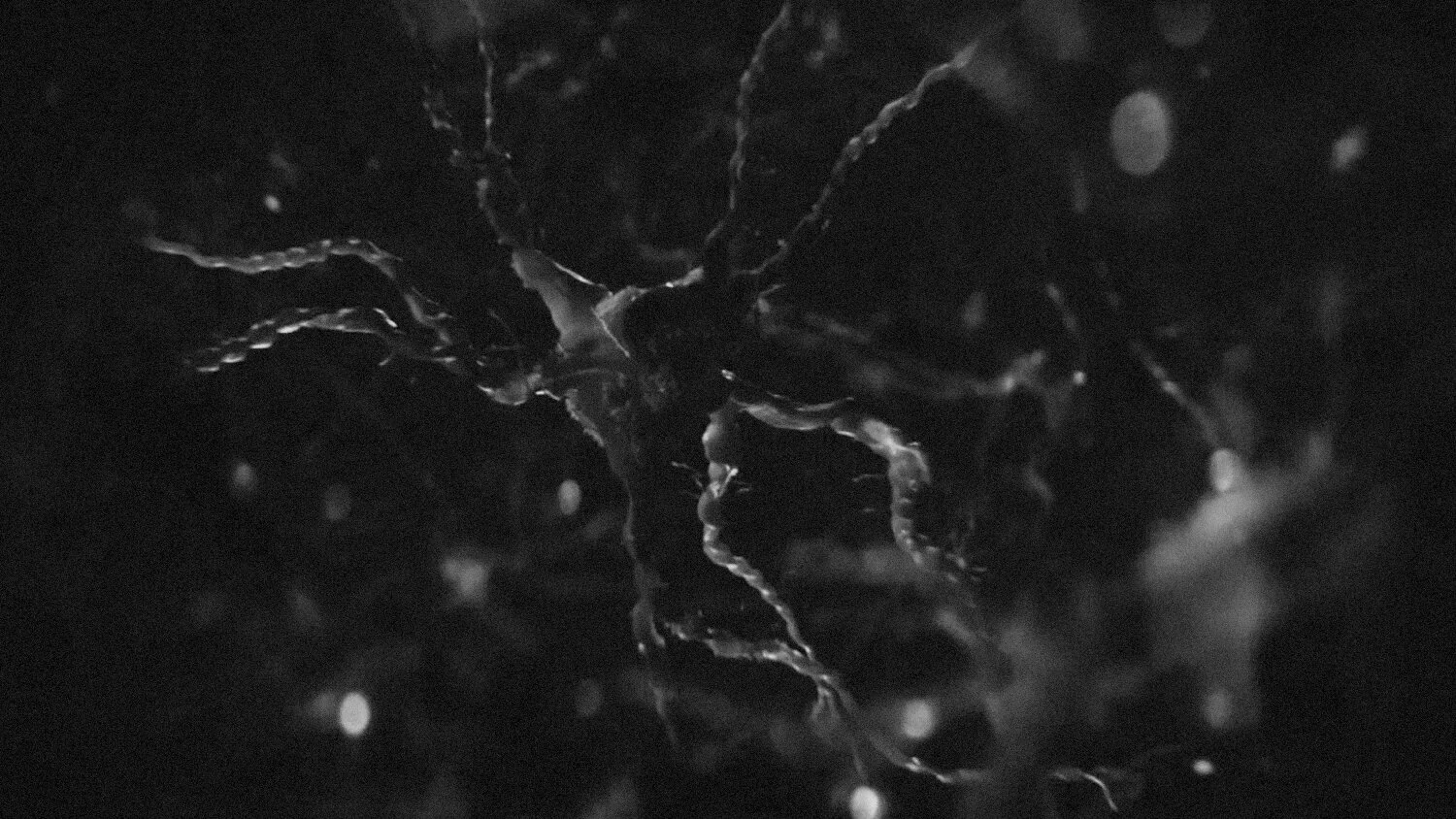 ALMUNDO+NOISE+2 copia.jpg