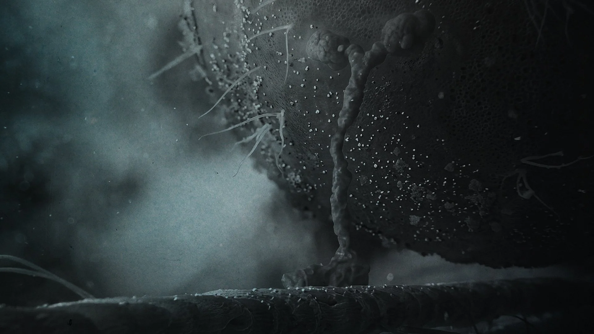 ALMUNDO+copy copy.jpg