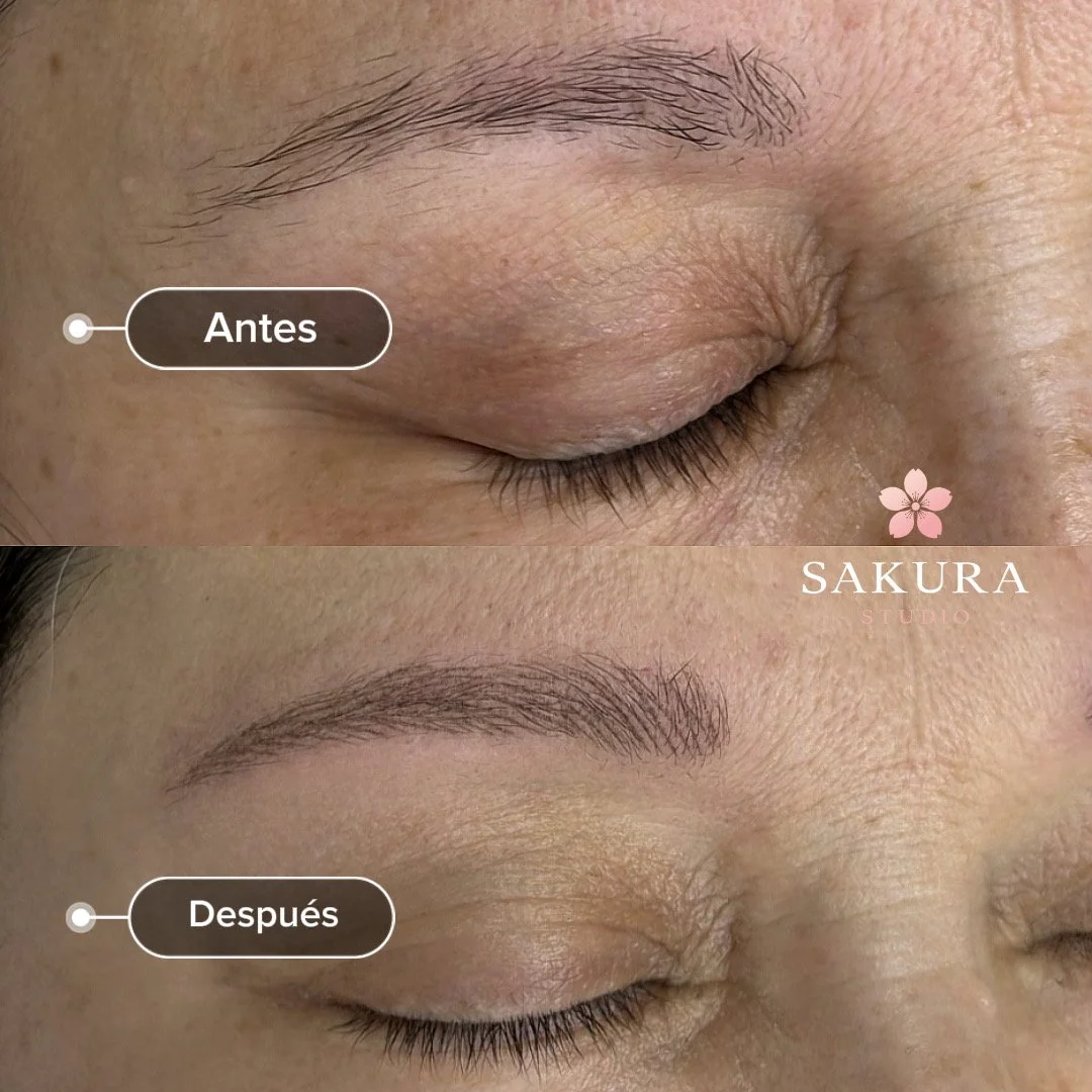 Técnica Hairstroke - pelo a pelo