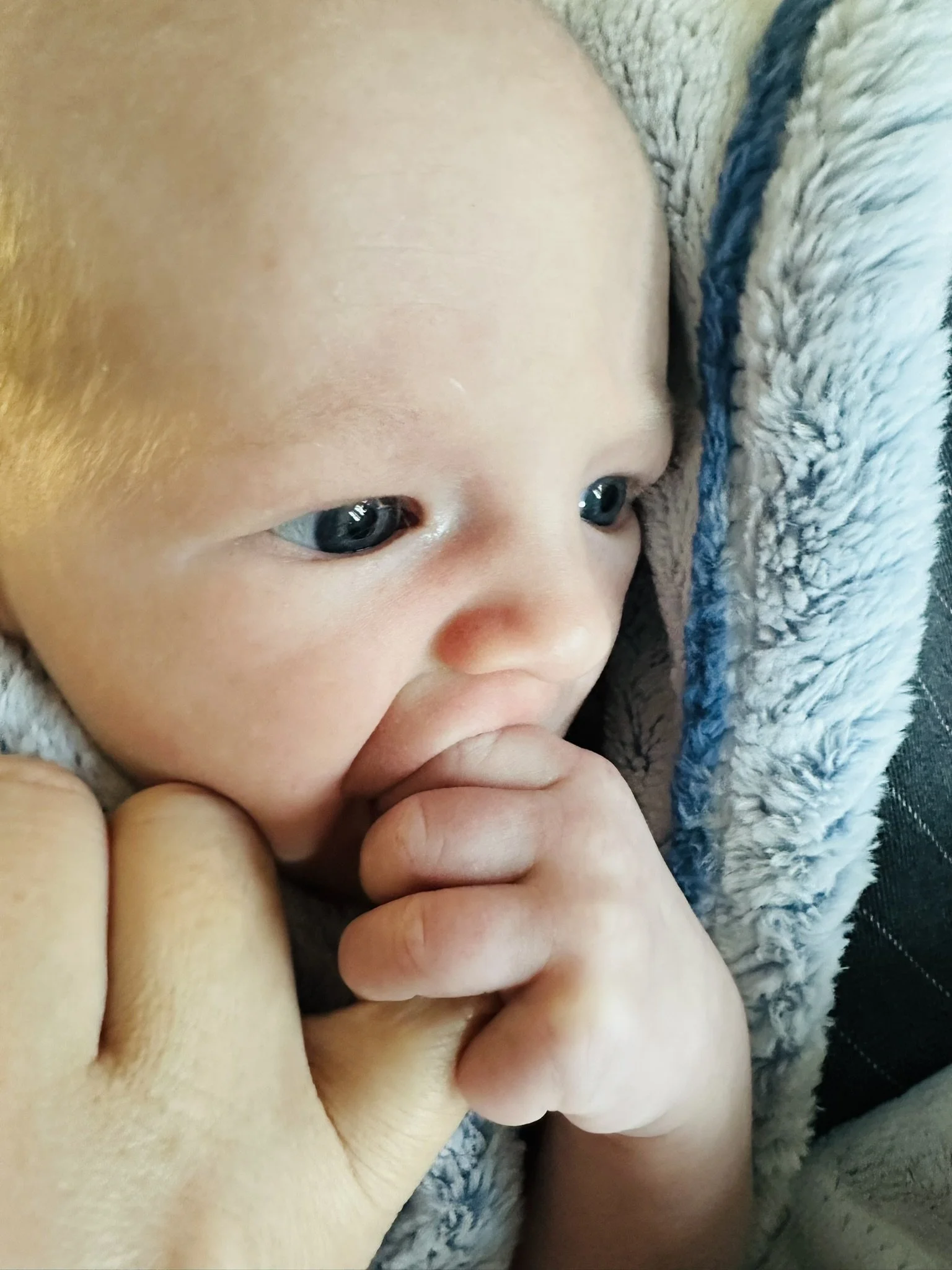 A newborn searching for something to suck