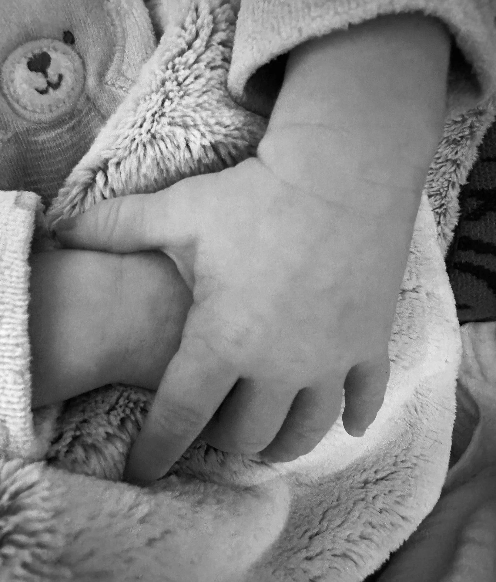 Tiny newborn hands clasped together