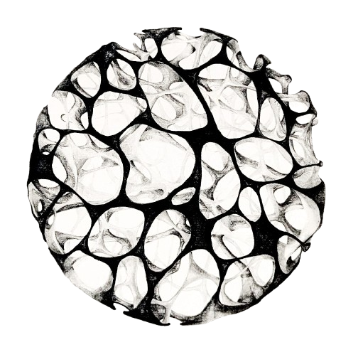 Black and white abstract pattern resembling a circular, organic, and honeycomb-like structure.