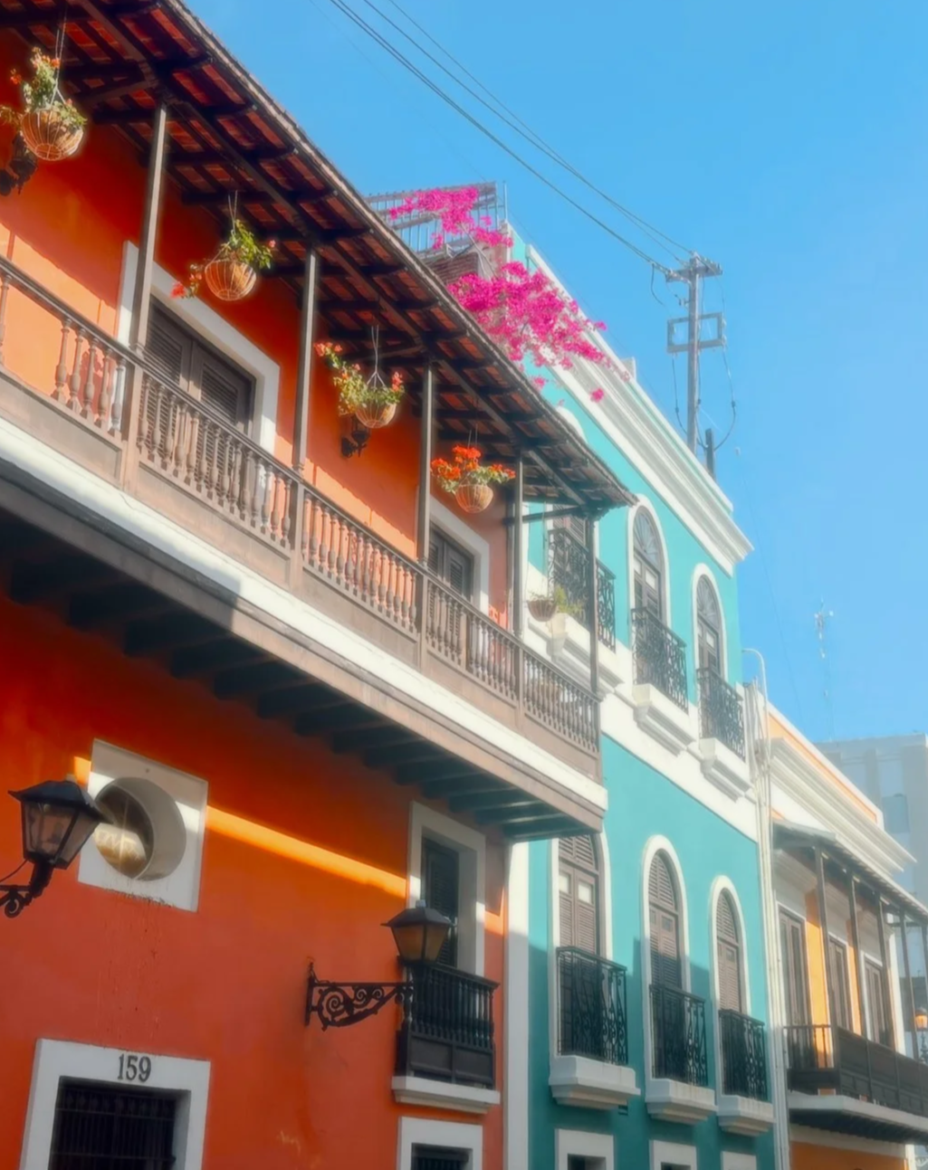 Colorful buildings with balconies, potted plants, and pink flowers, along a busy street under a blue sky.
