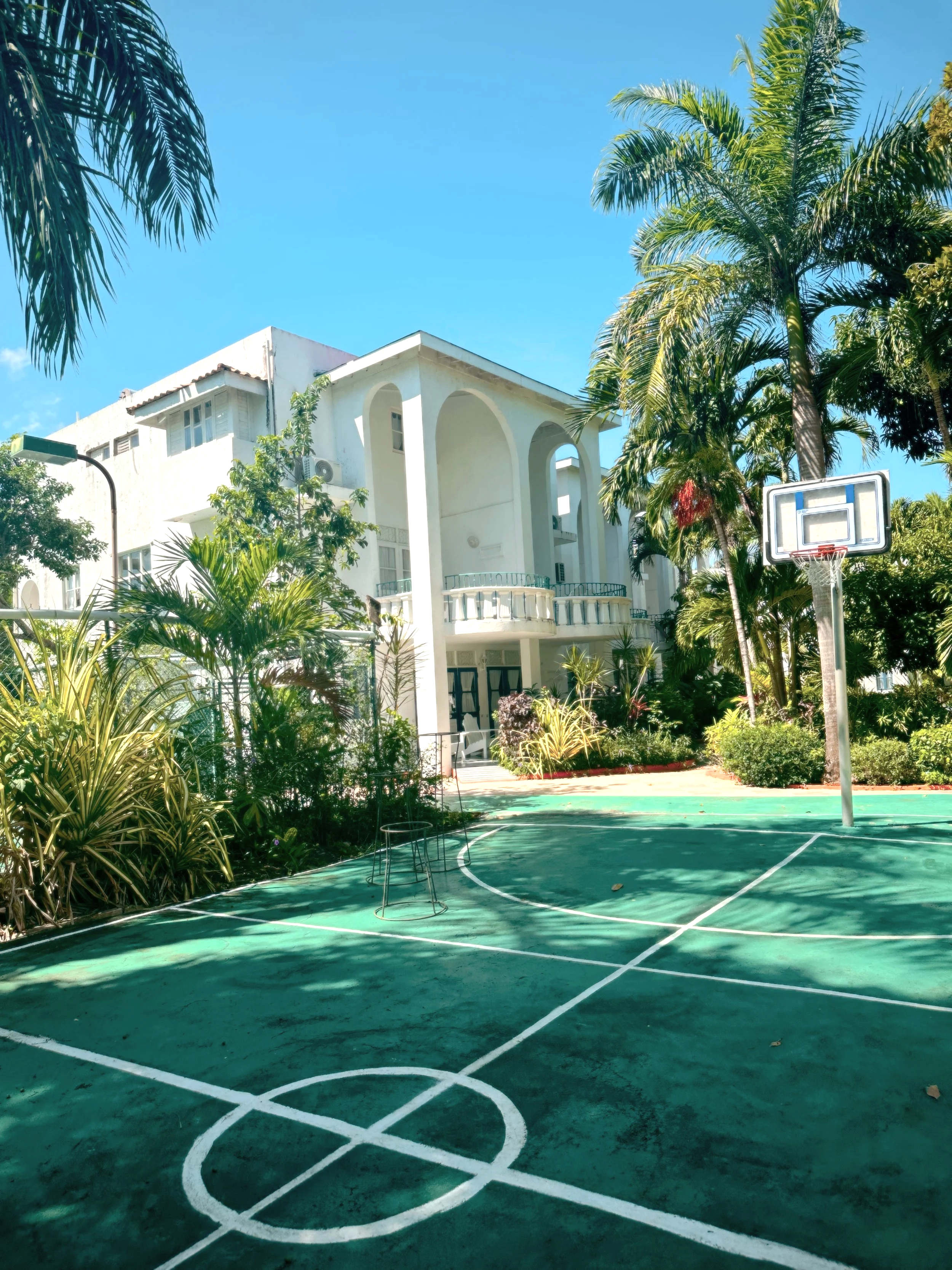 A basketball court with a hoop and backboard surrounded by lush green tropical plants and tall palm trees, with a large white building and a clear blue sky in the background.