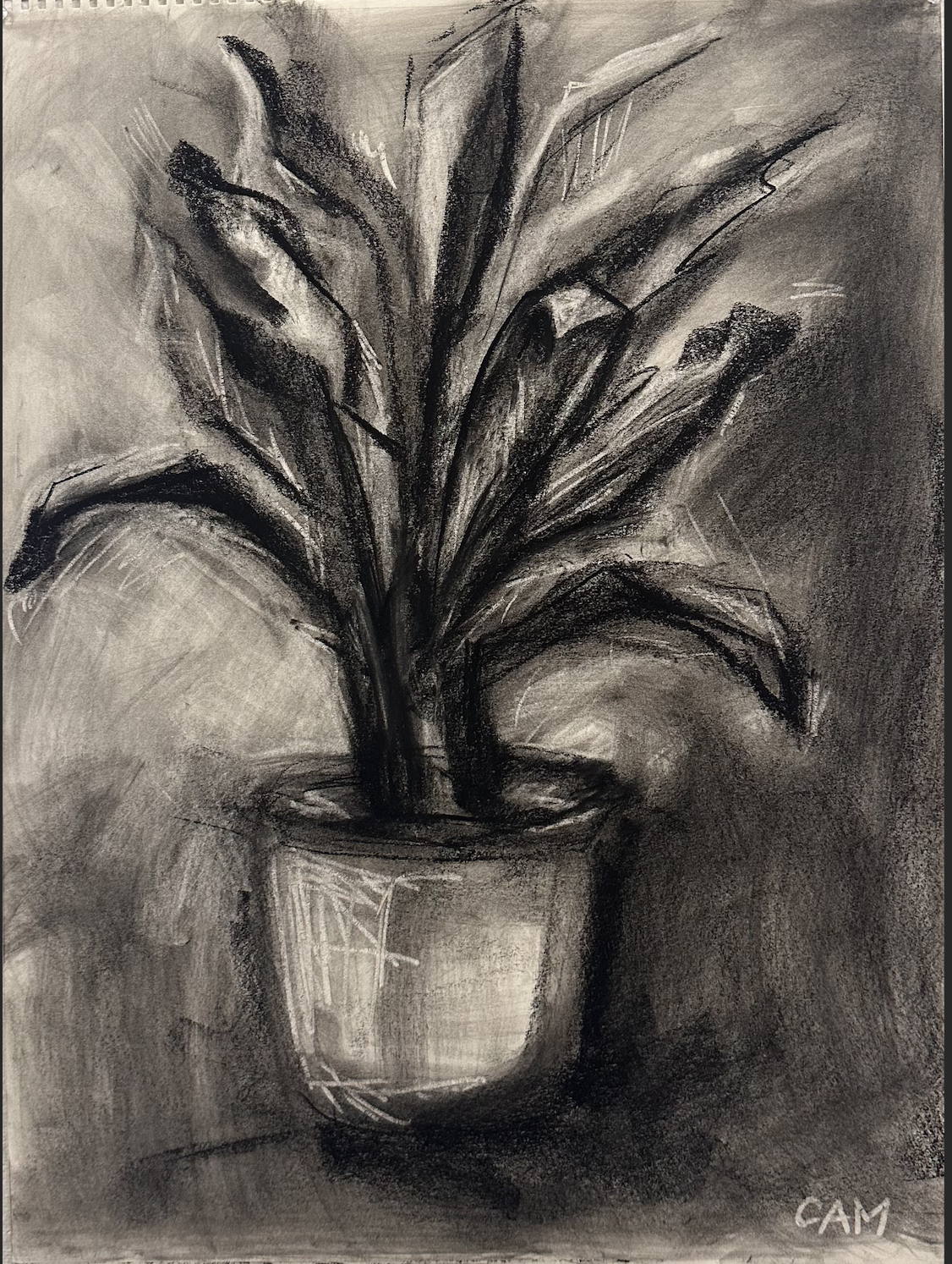 Screenshot 2026-02-17 at 3.10.26 PM.png