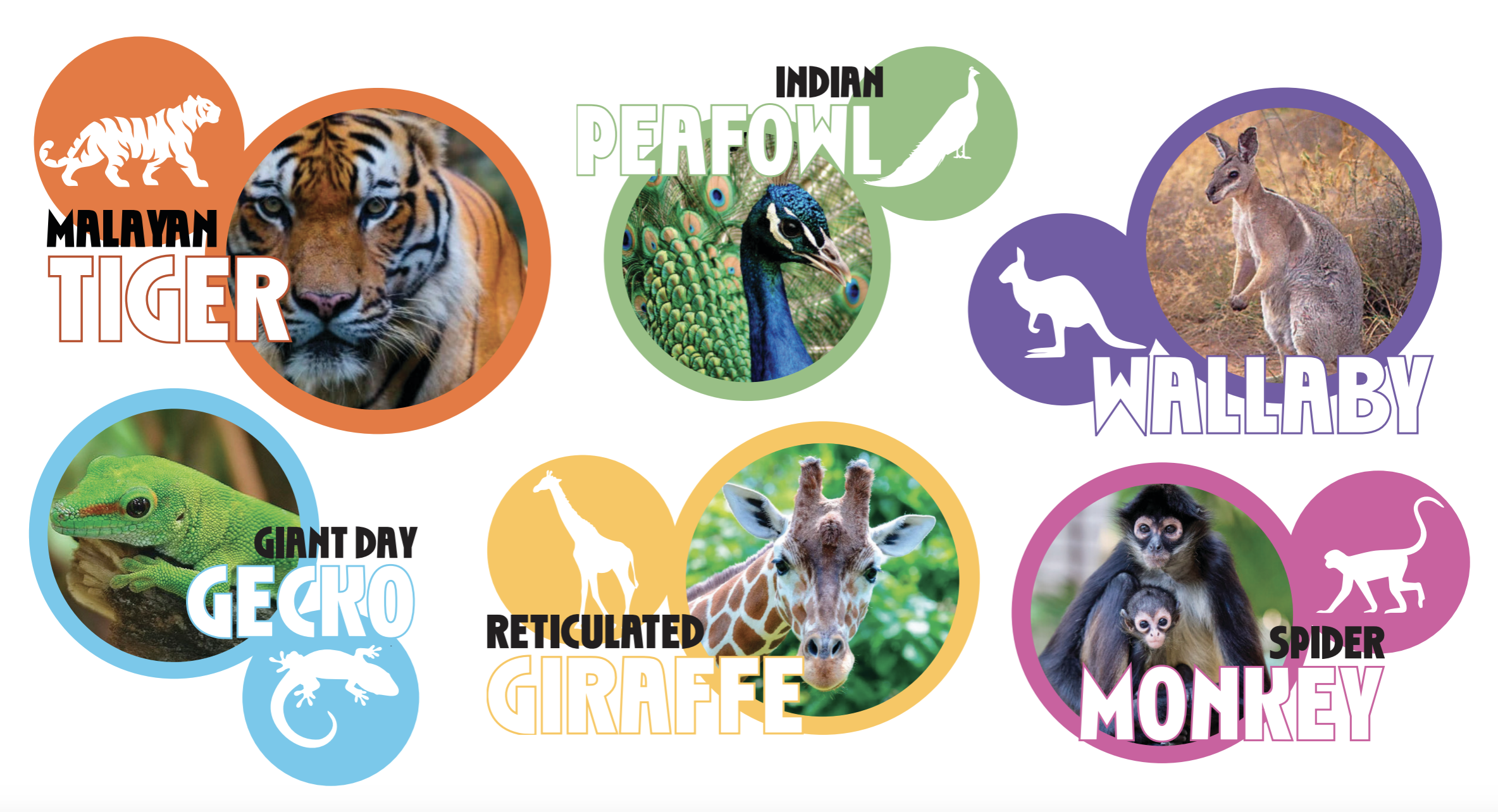 Screenshot 2026-02-18 at 9.48.49 AM.png