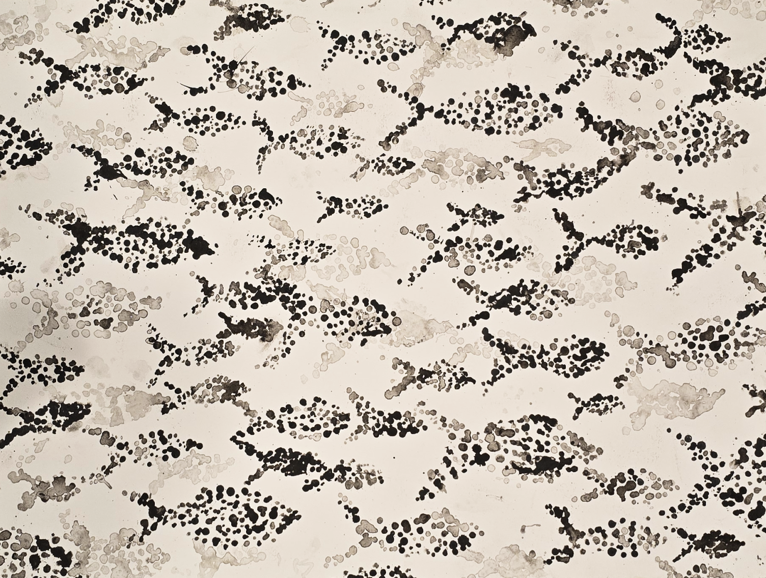 Screenshot 2026-03-03 at 11.45.44 PM.png