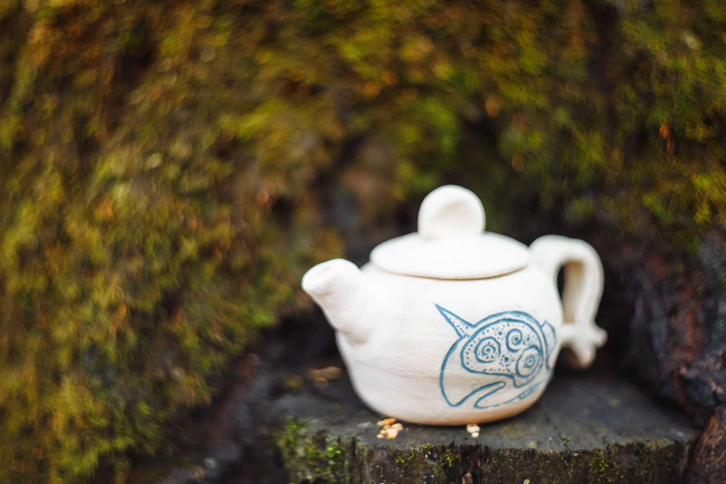A single teapot and cup set on the forest floor