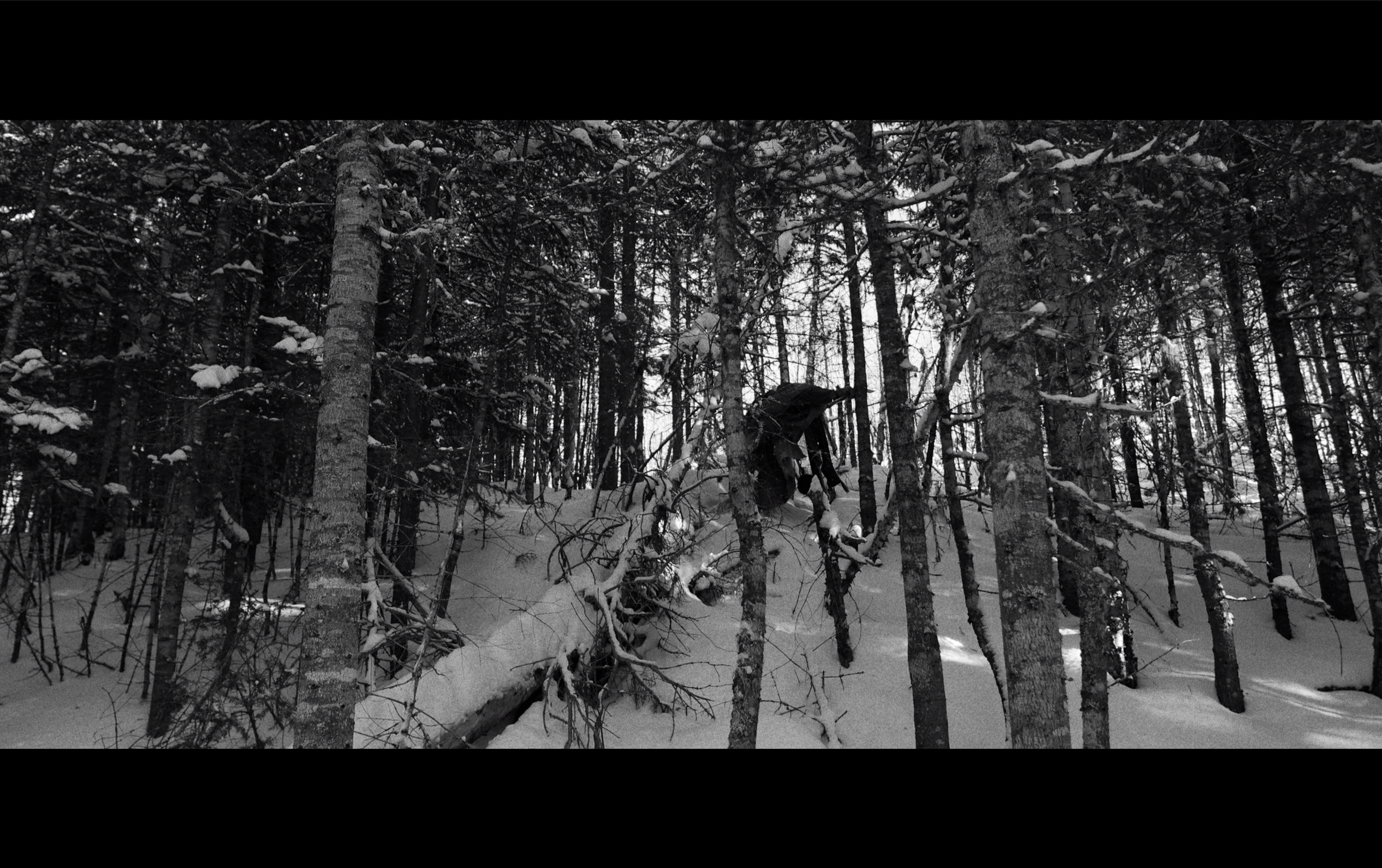 Forêt enneigée avec arbres, et un trekkeur portant un sac à dos, marchant sur une pente enneigée.