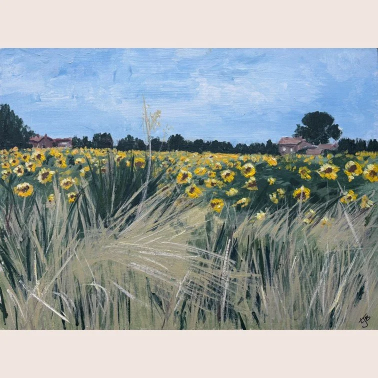 Sunflower Haze