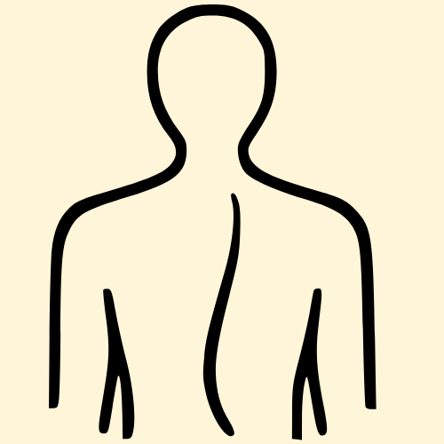Simple line drawing of the human body's front view on a light background.