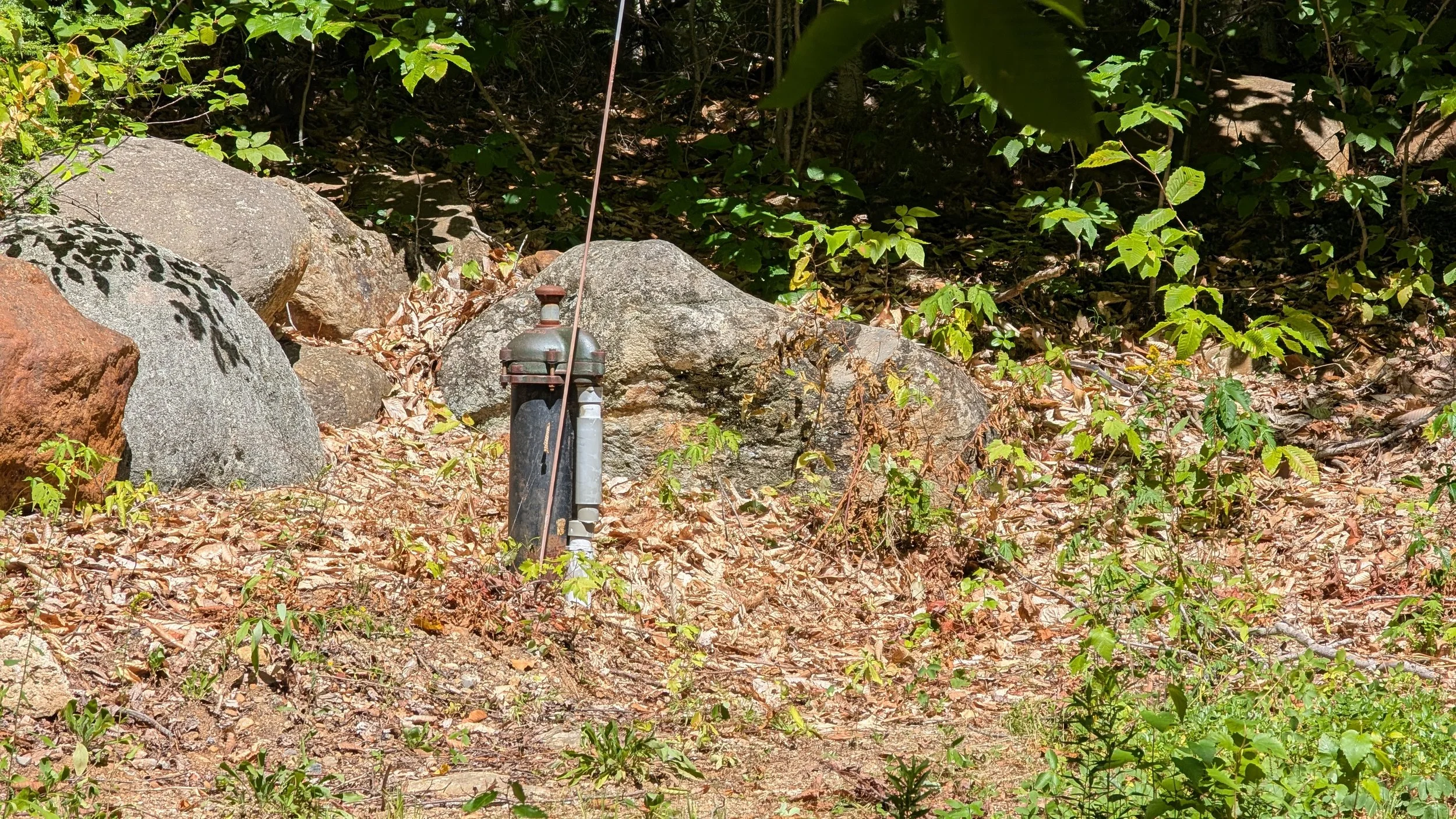 A well water valve with a gauge is installed among rocks and green plants on a forest floor.