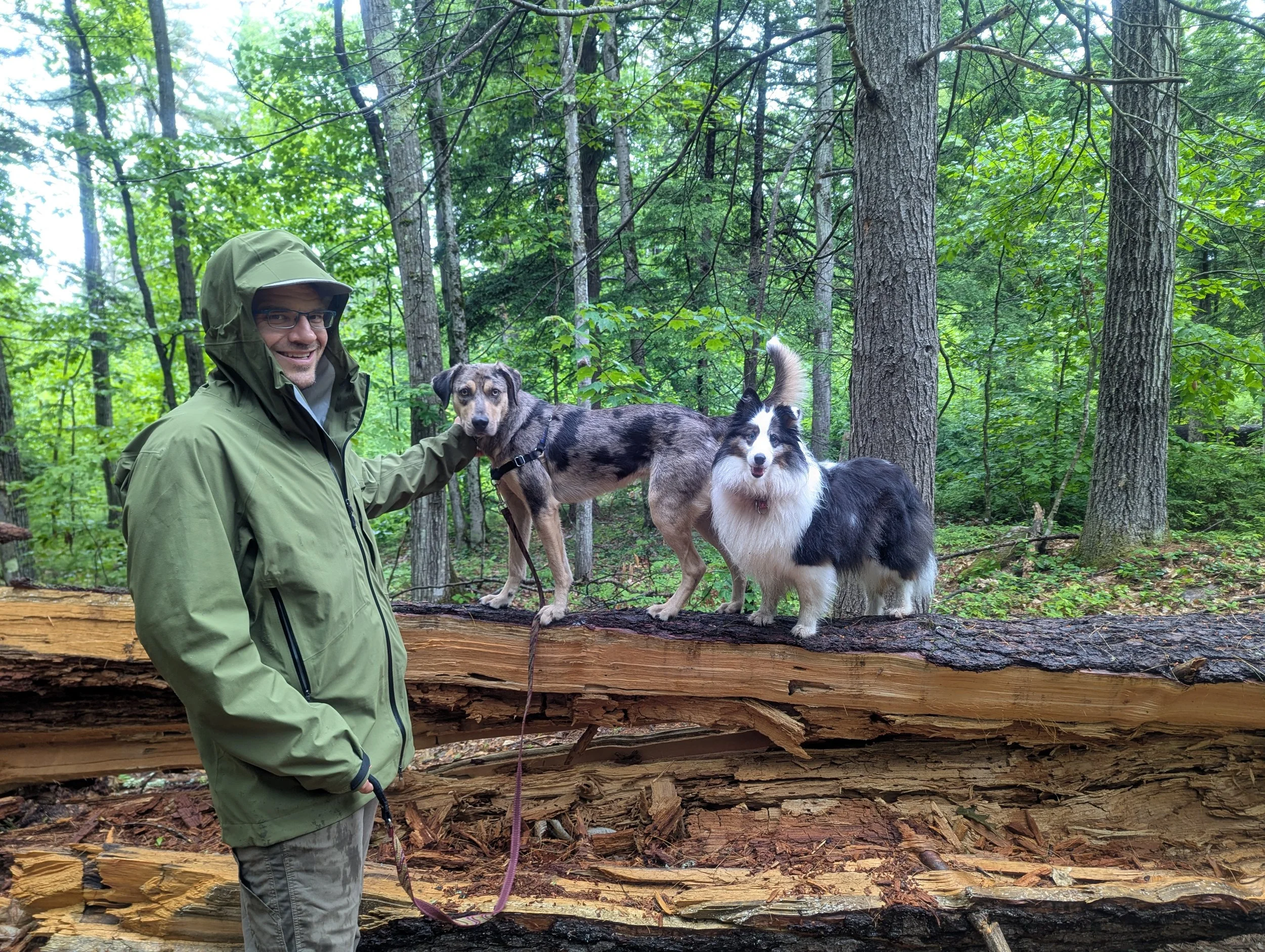 Owners Liz and Kevin Prior skiing in North Conway, NH.  Kevin Prior is a licensed NH Pump installer, NH level II water treatment, NH Level II Water Distribution and Maine Master Pump Installer.  Playing with his dogs in the white mountains of NH.