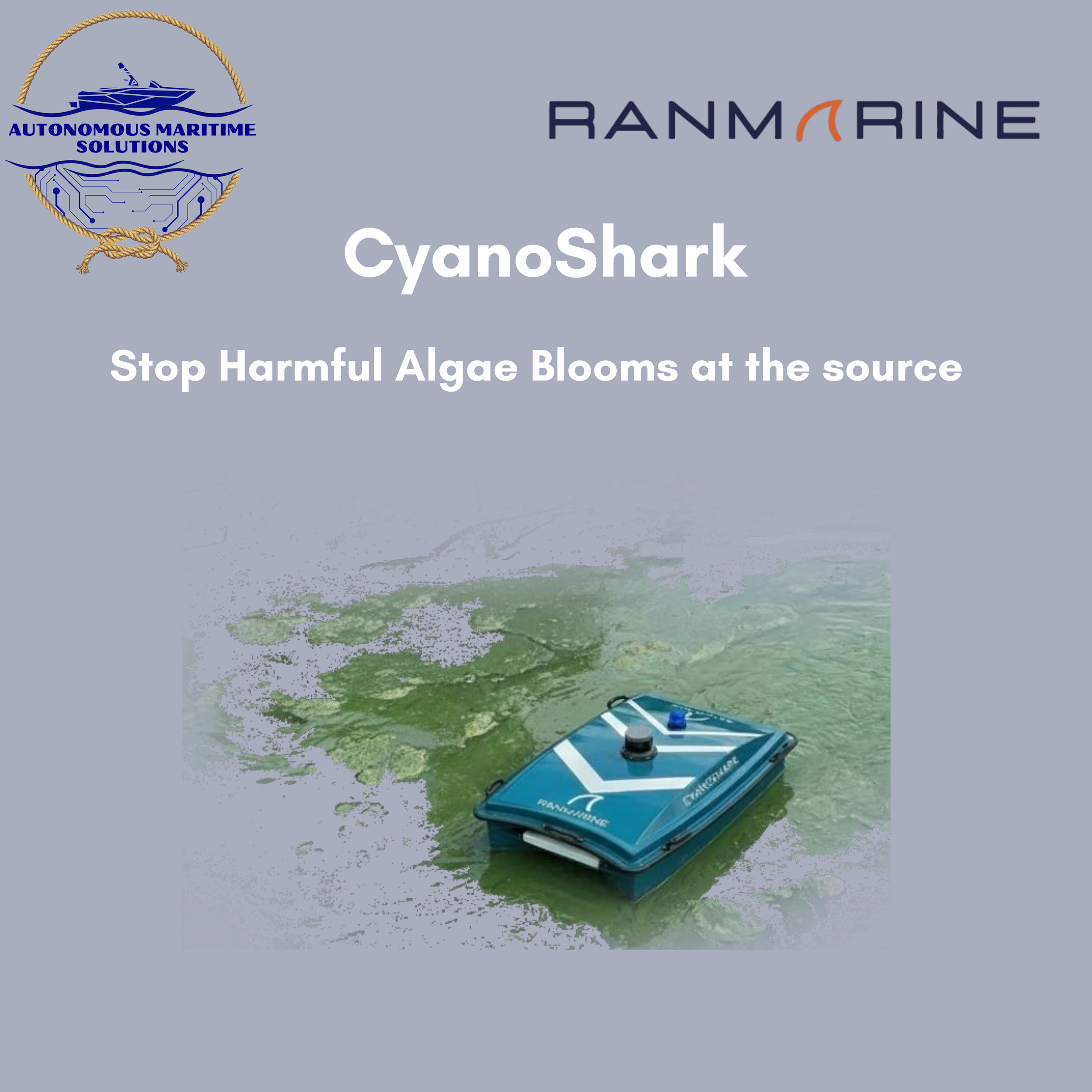 A device floating on water, releasing cyanobacteria bloom control agents surrounded by green algae, with logos of Autonomous Maritime Solutions and RANMARINE at the top, and the text 'CyanShark Stop Harmful Algae Blooms at the source'.