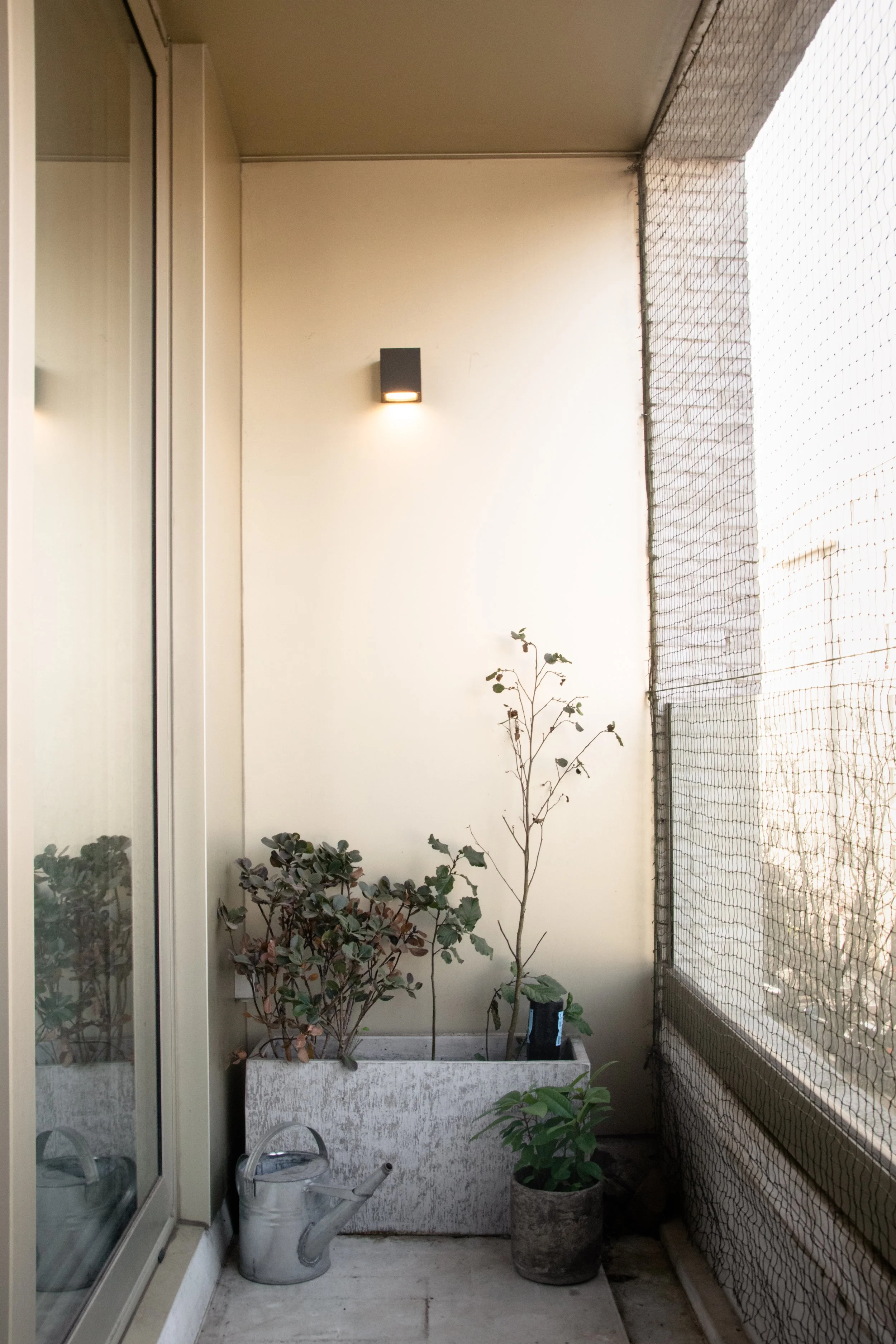 Balcony with natural planting and soft neutral tones in Antwerp apartment