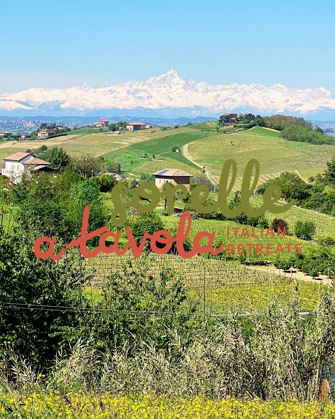 Piemonte is the star of our retreat &ndash; rolling vineyards, unforgettable wines, and experiences guided by locals who call this place home.

Sip, Savor, and Share
September 13&ndash;19, 2026

Information and registration at sorelleatavola.com.

Jo